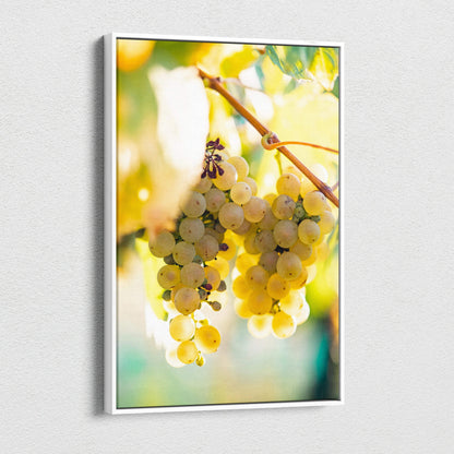 Canvas wall art featuring vibrant yellow-green grape clusters on vine with soft sunlight decor.