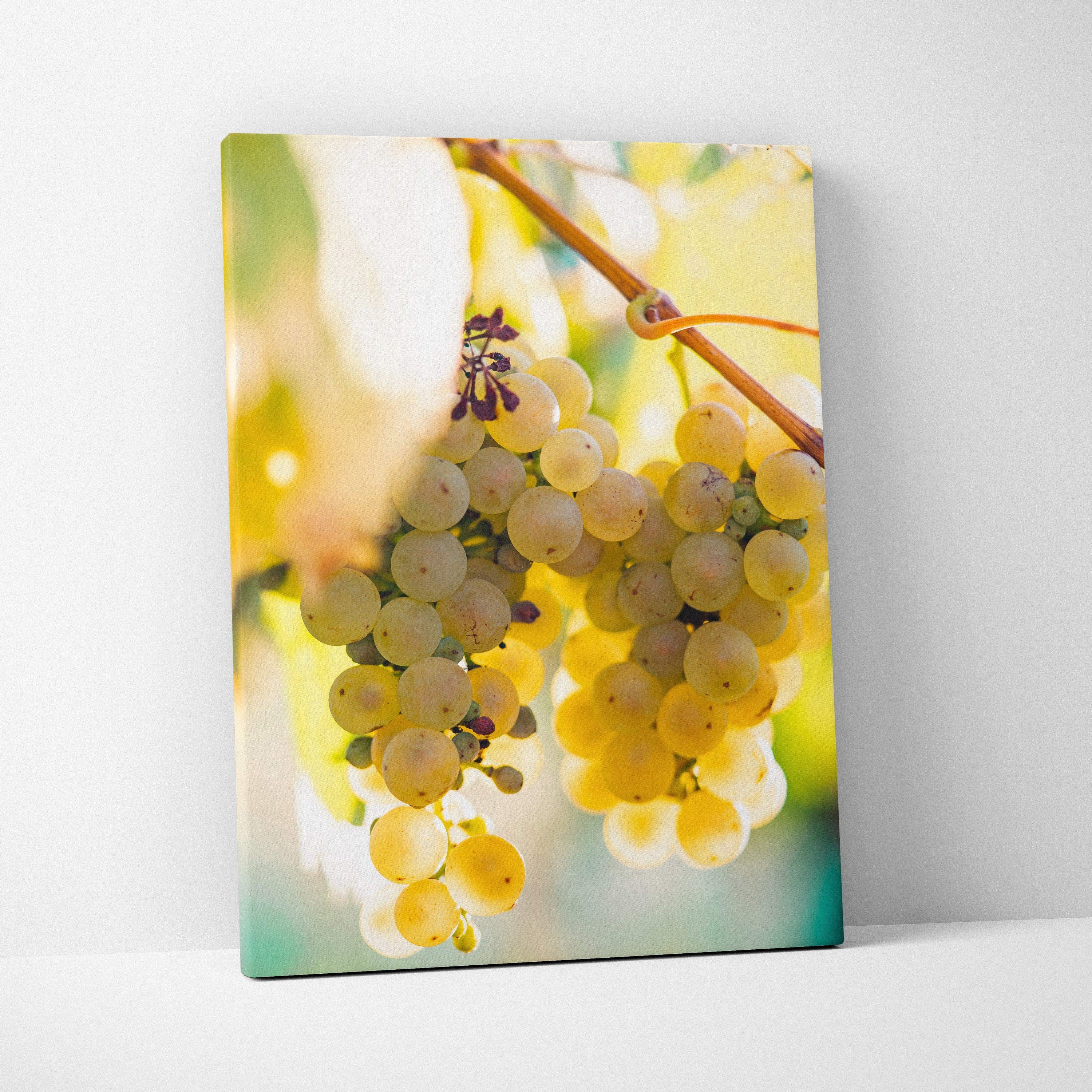 Vertical canvas wall art featuring vibrant green grapes on the vine, perfect decor for living room.