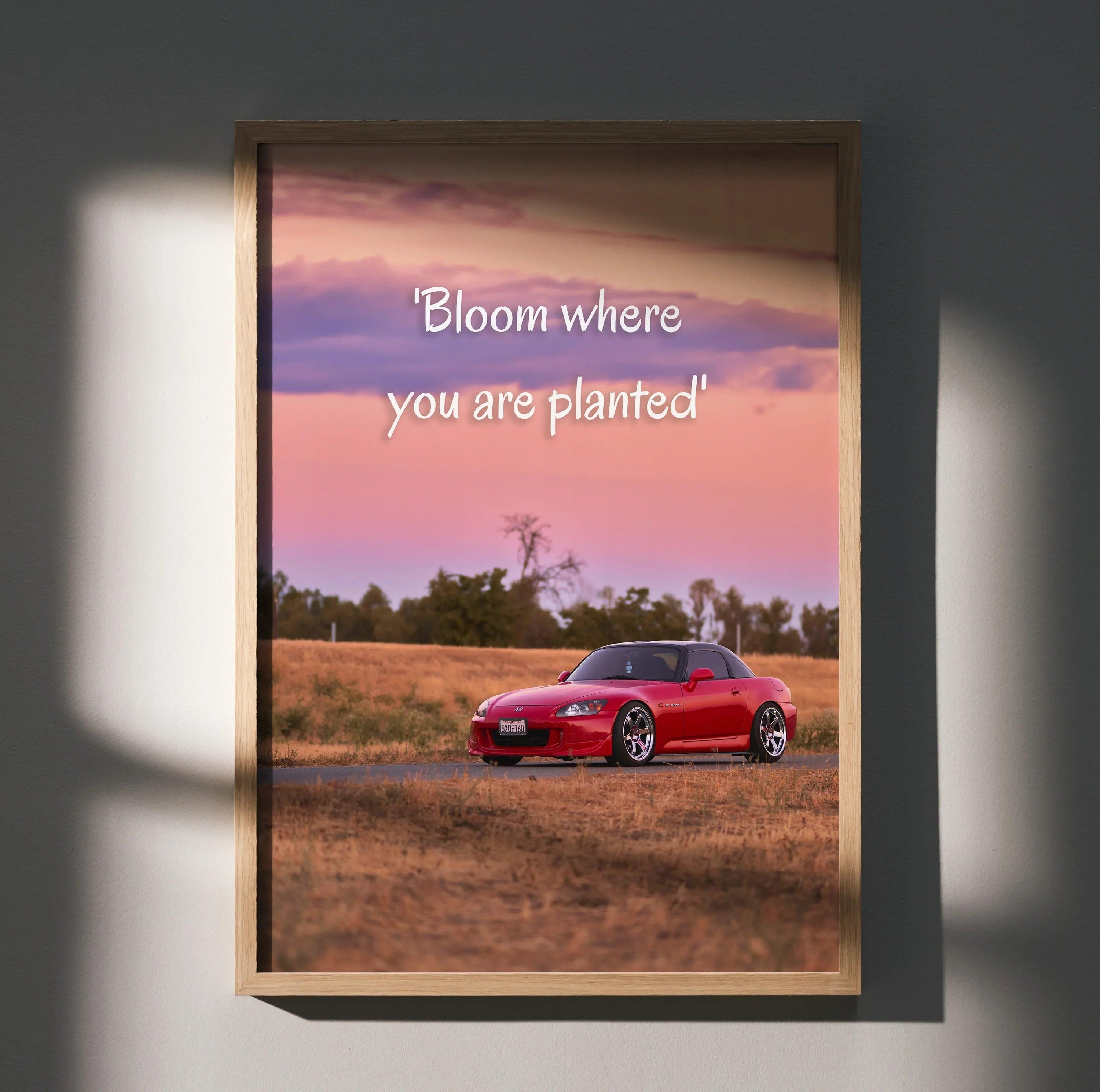 Honda S2000 red sports car on rural road with "Bloom where you are planted" motivational poster wall art.