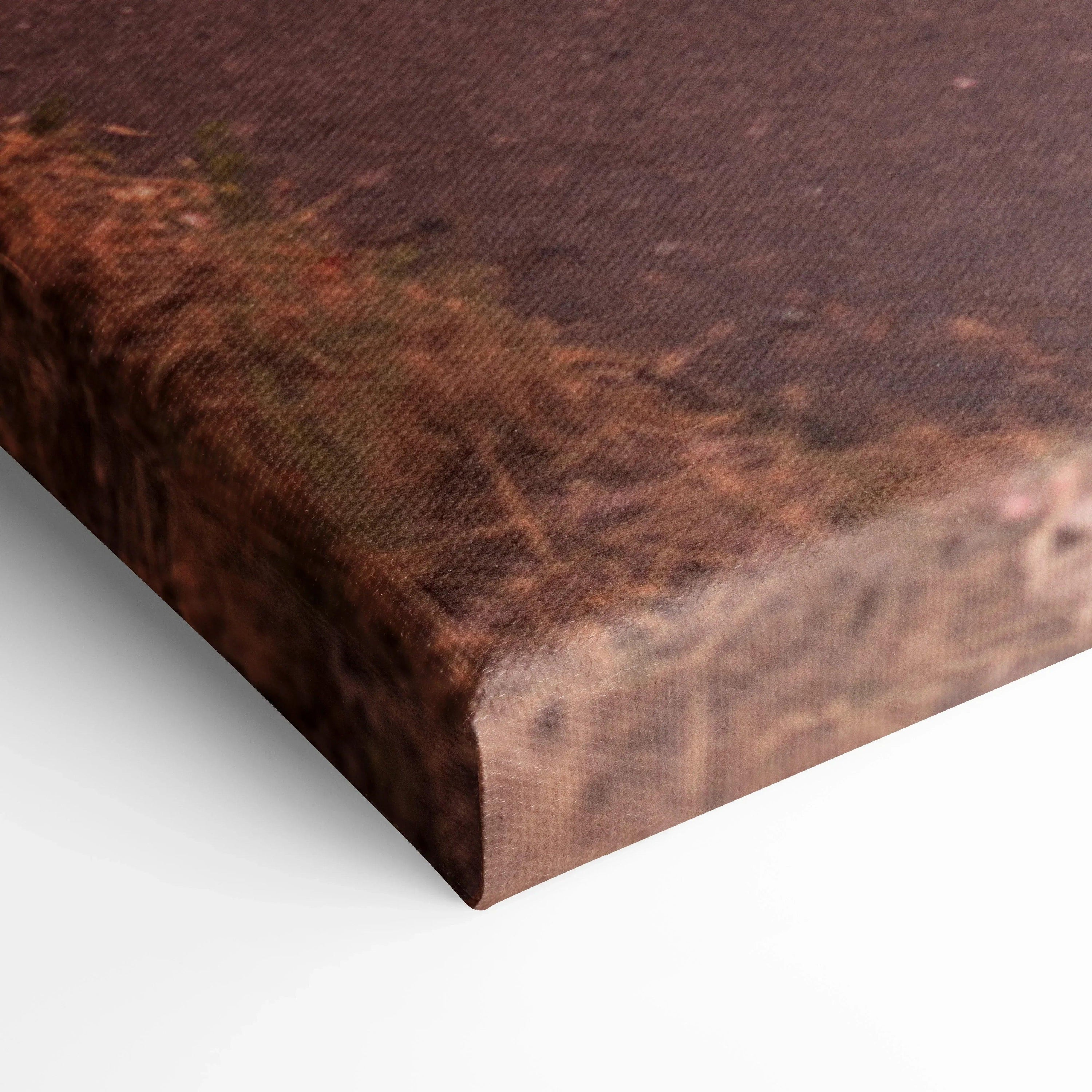 Close-up of Honda S2000 wall art canvas with sunset colors and textured edges.