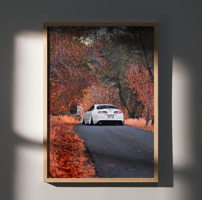 Toyota Supra MK4 driving on a tree-lined road with autumn foliage poster wall art in wooden frame.
