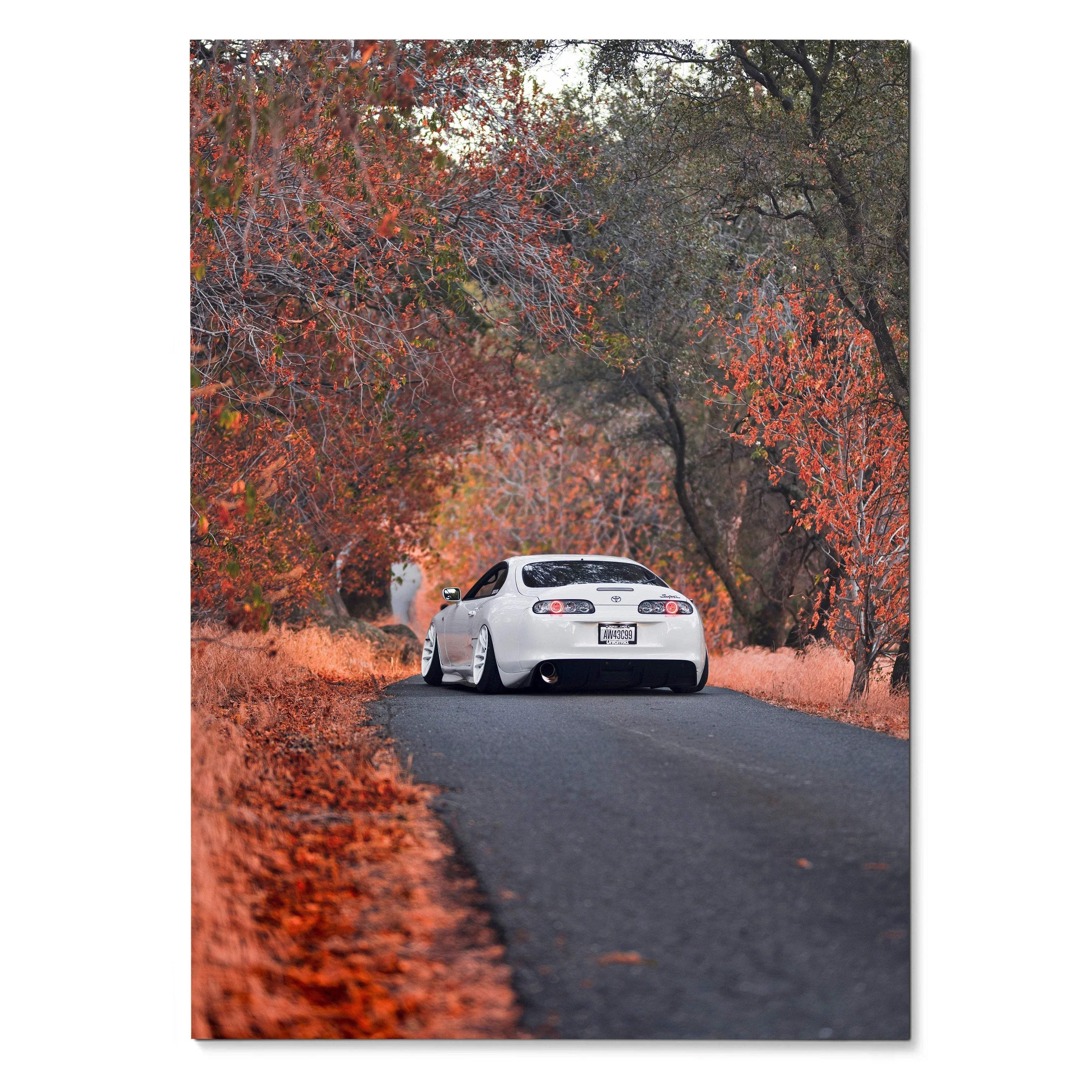 Toyota Supra MK4 driving down a tree-lined road with autumn foliage, poster wall art.