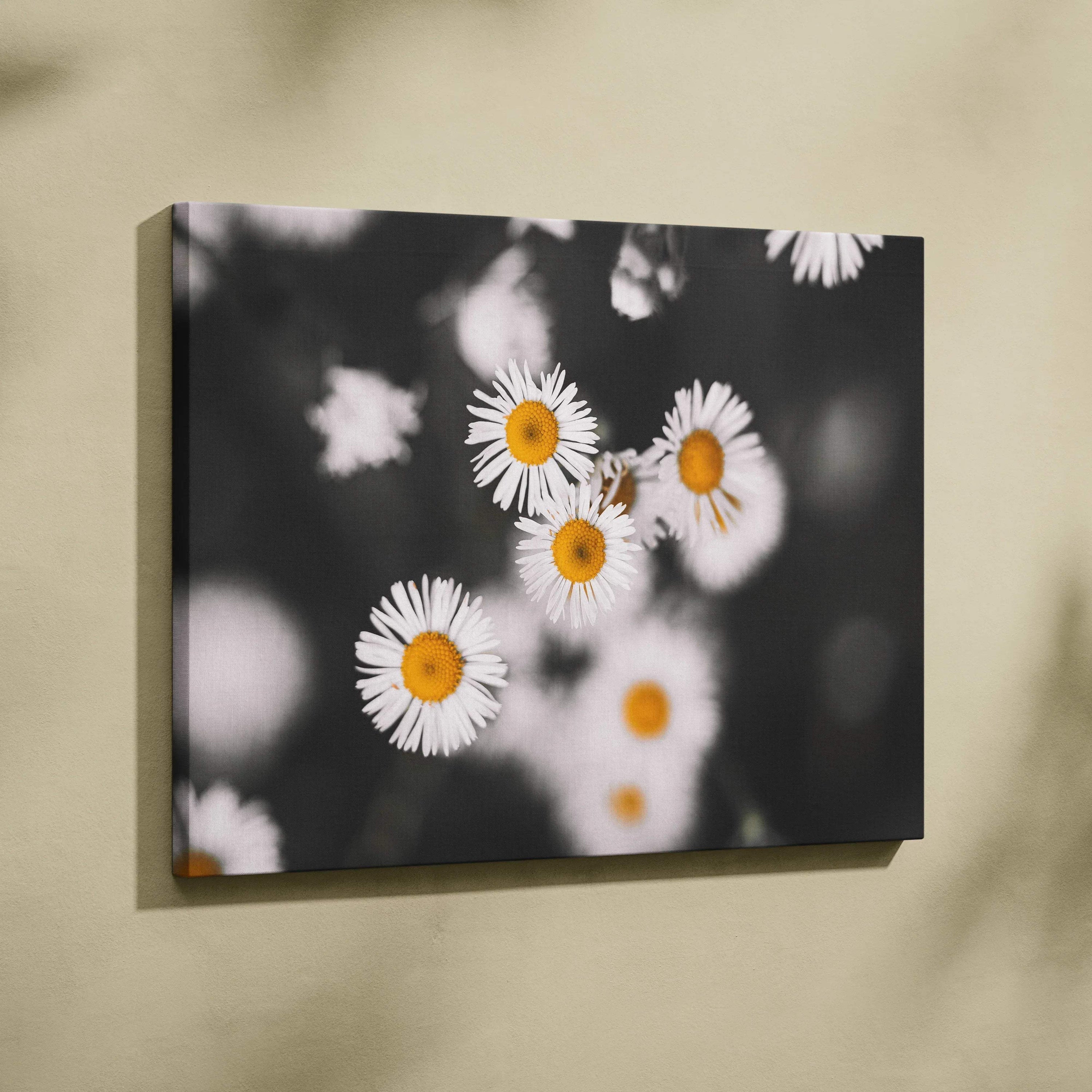 Canvas wall art featuring vibrant white daisy flowers with yellow centers and green stems on a blurred black and white.