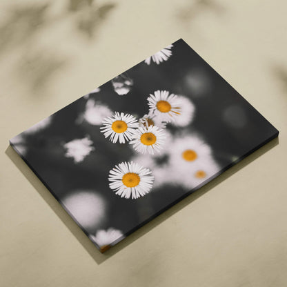 Canvas wall art featuring vibrant white daisy flowers with yellow centers and green stems on a dark background.