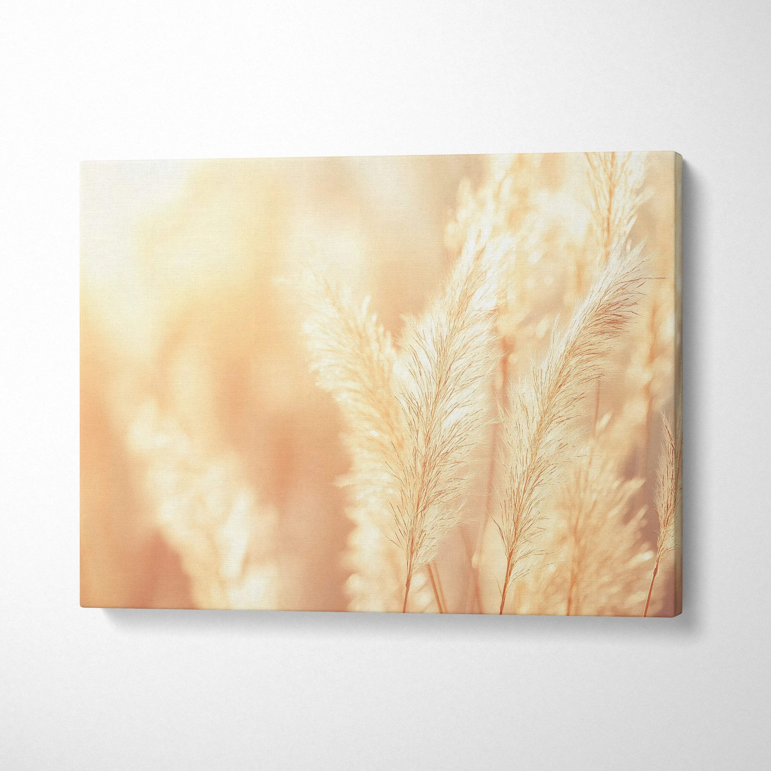 Canvas wall art featuring soft beige pampas grass close-up with warm, dreamy lighting decor.