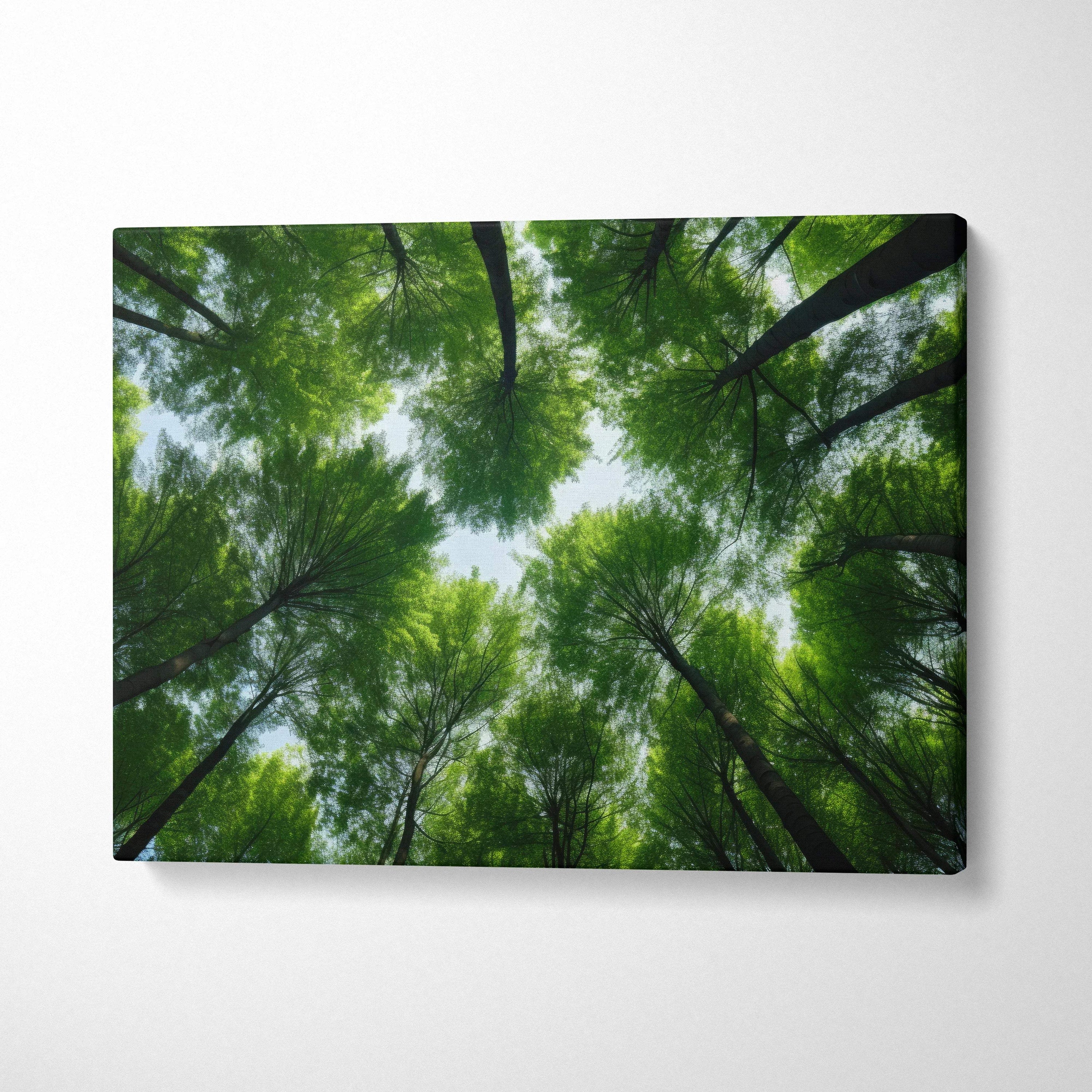 High-resolution canvas wall art showing vibrant green forest treetops viewed from below, nature decor.