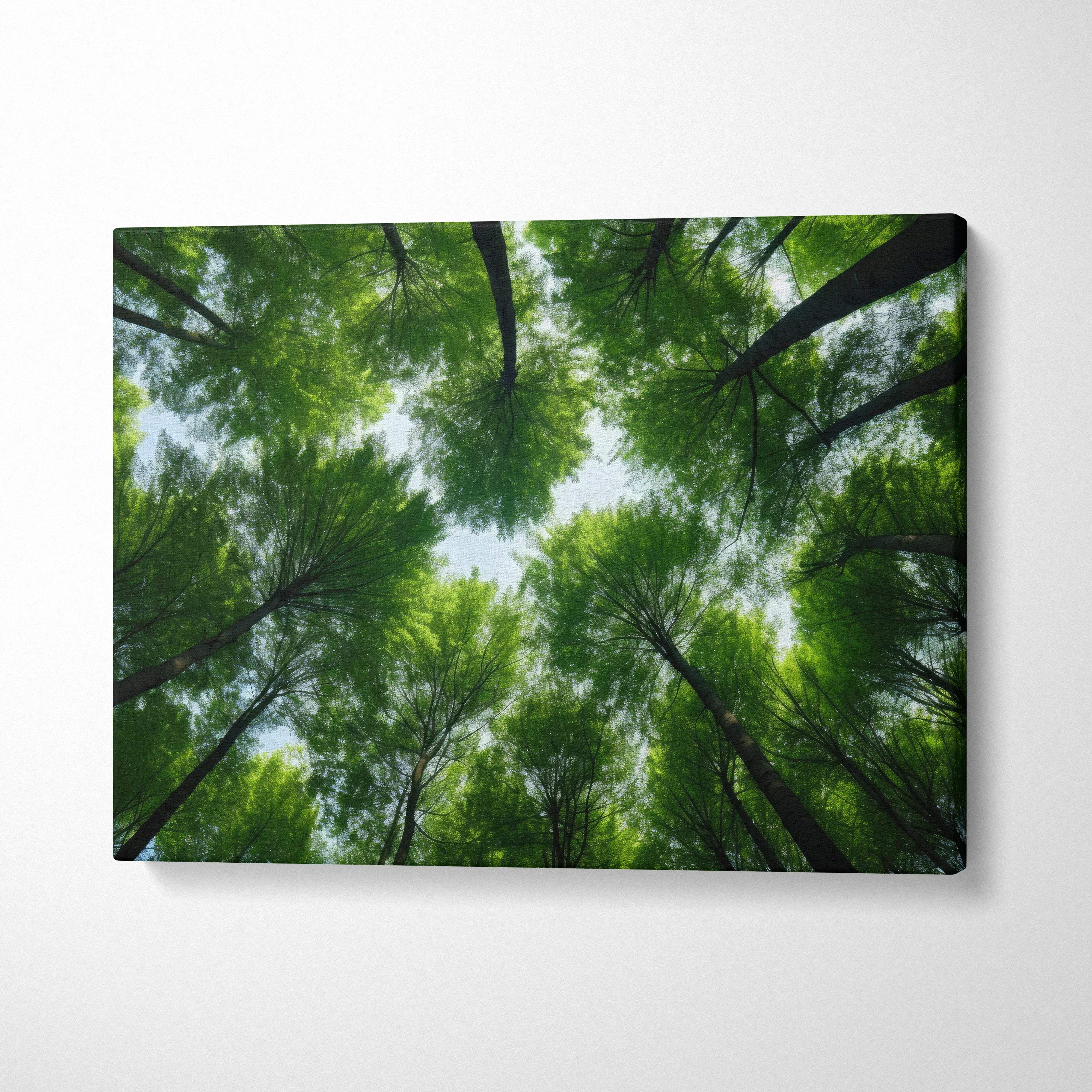 High-resolution canvas wall art showing vibrant green forest treetops viewed from below, nature decor.