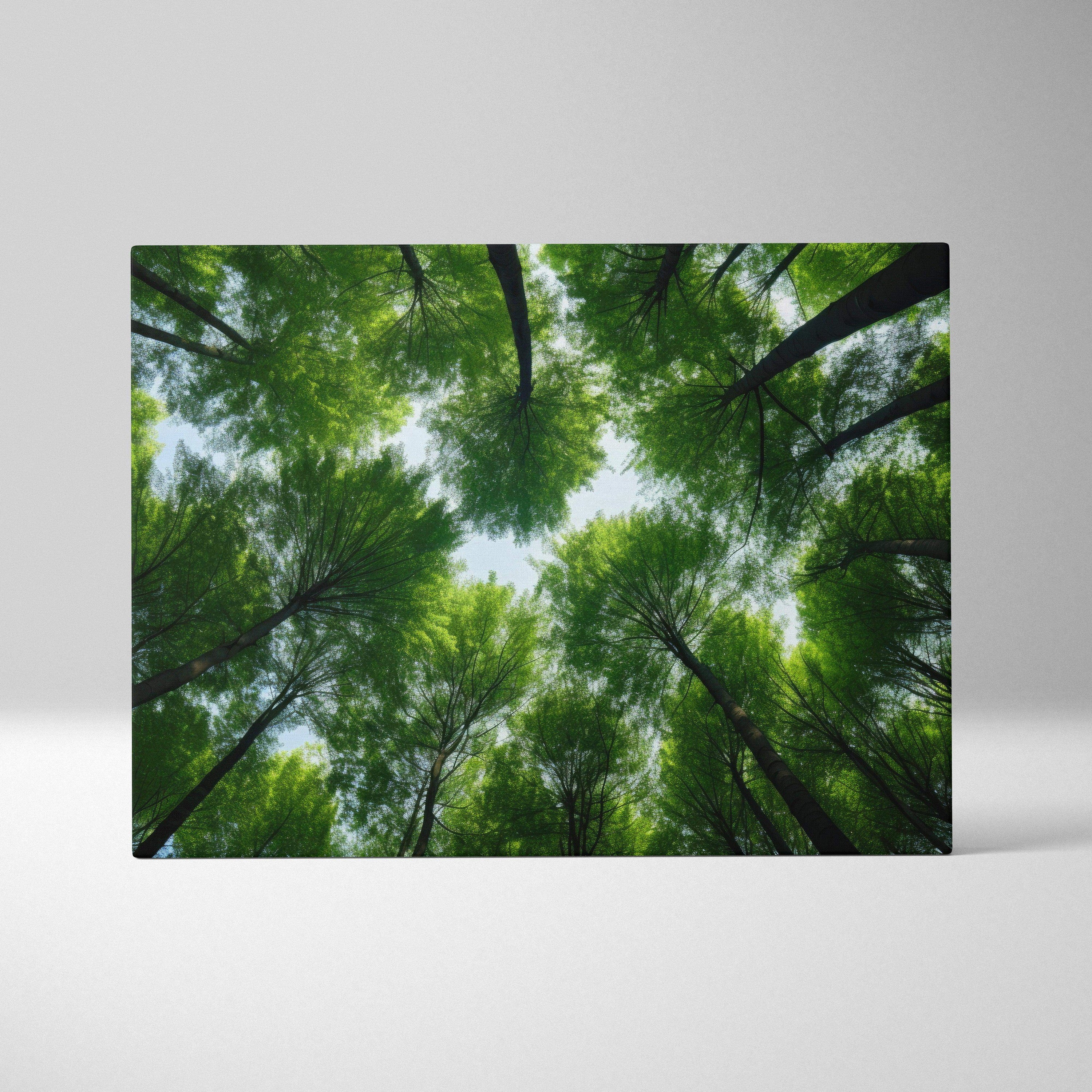 High-resolution canvas wall art featuring vibrant green forest treetops viewed from below, nature-inspired decor.