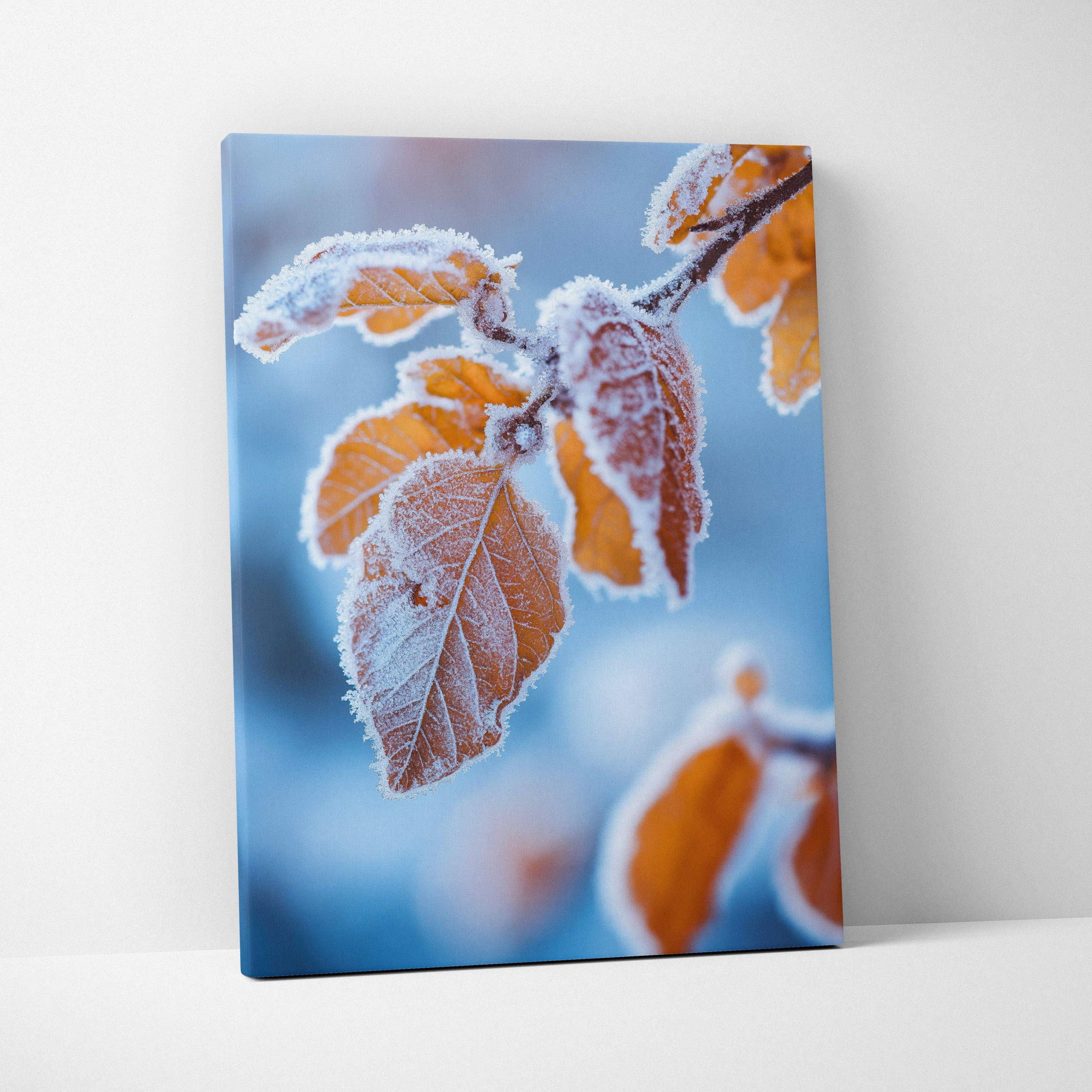 Canvas wall art featuring close-up of autumn leaves with frost against a soft blue background.