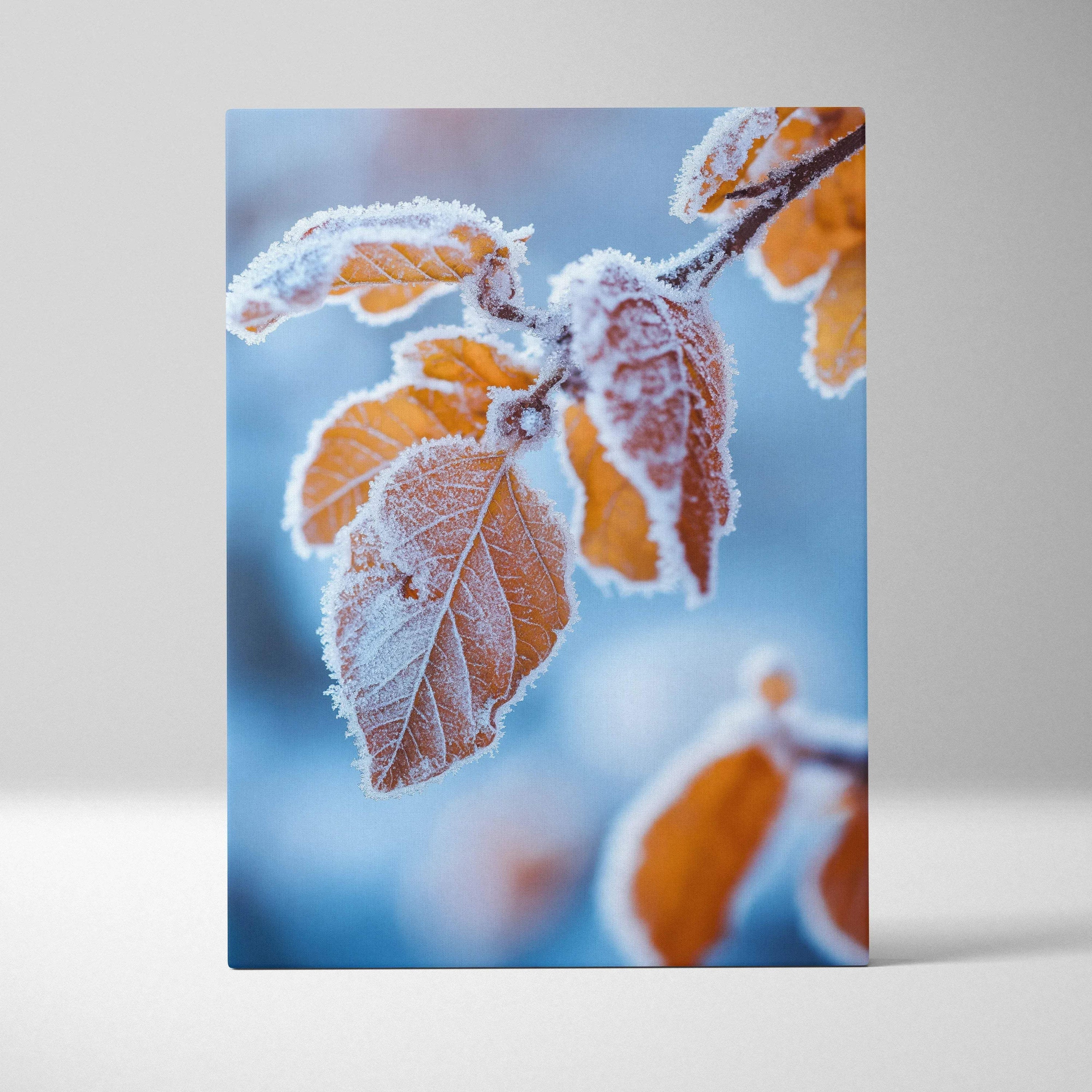 Canvas wall art featuring close-up of frosted autumn leaves with bright orange and white tones against a blue background.