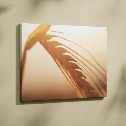 Canvas wall art featuring close-up of golden wheat stalk with soft, warm gradient background.
