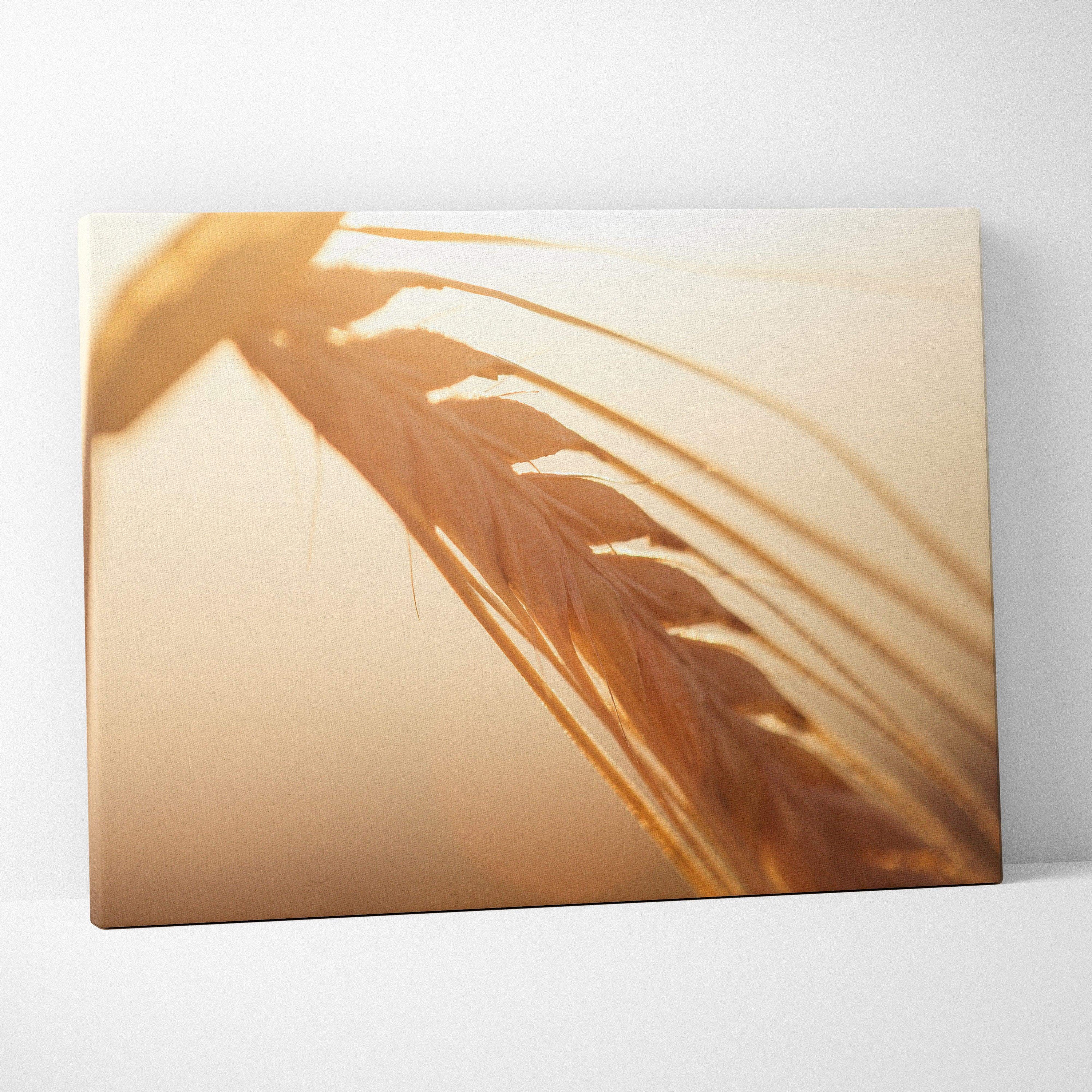 Canvas wall art featuring a close-up of golden wheat stalks with soft, warm lighting and a blurred background.