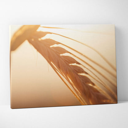 Canvas wall art featuring a close-up of golden wheat stalks with soft, warm lighting and a blurred background.