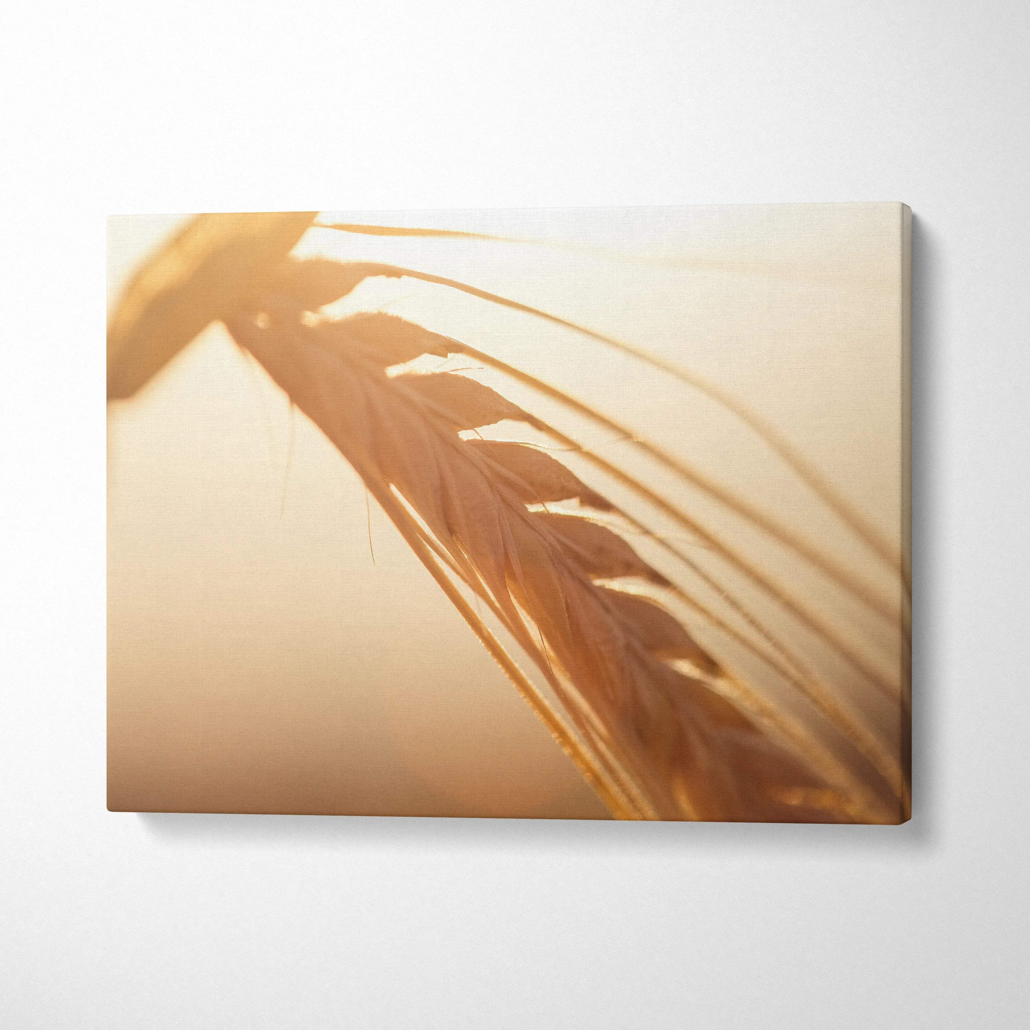 Canvas wall art featuring close-up of golden wheat stalk with soft sunlight for elegant home decor.