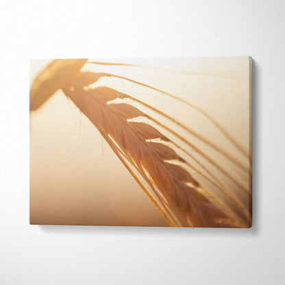 Canvas wall art featuring close-up of golden wheat stalk with soft sunlight for elegant home decor.