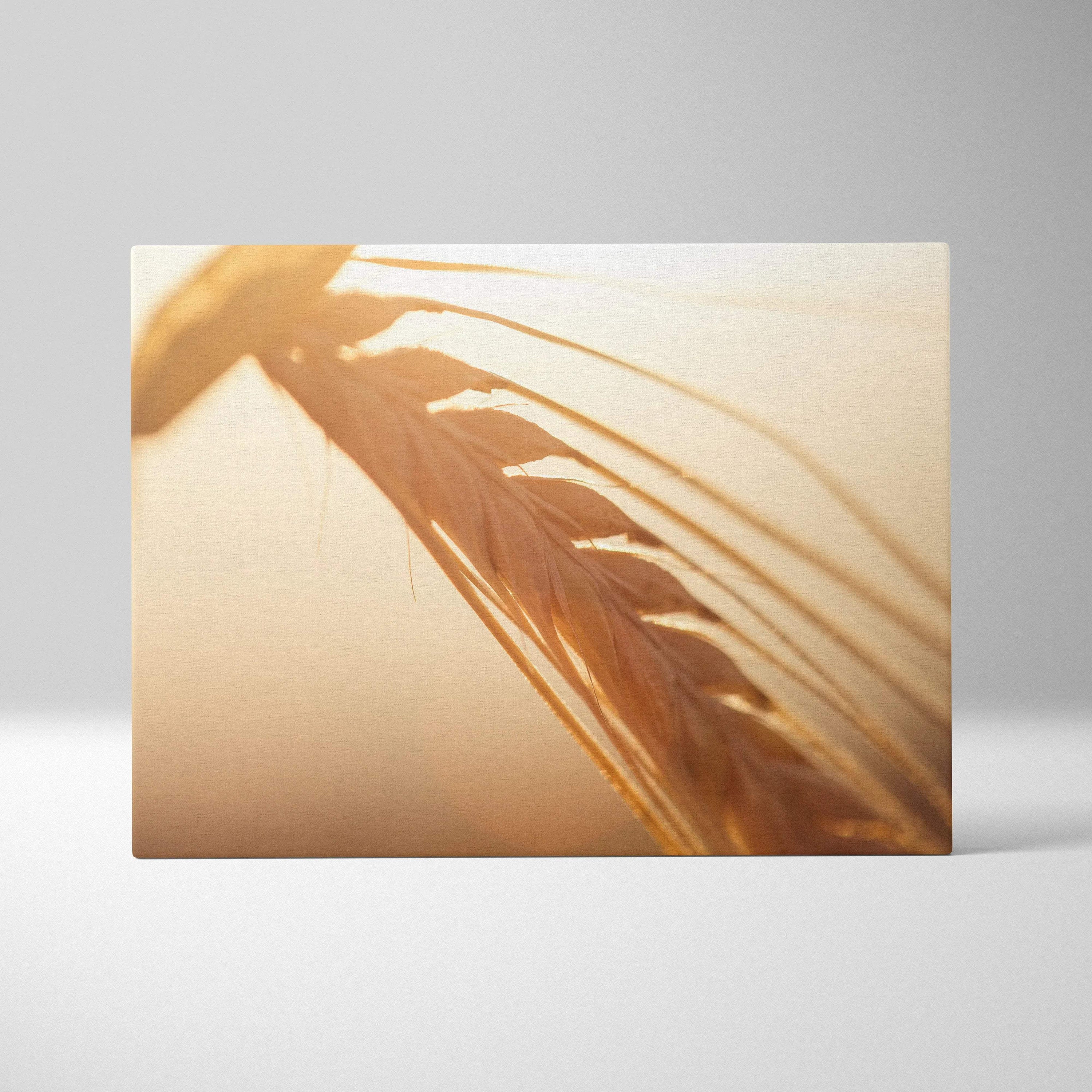 Canvas wall art featuring close-up of golden wheat stalks in soft, warm light with natural beige tones.