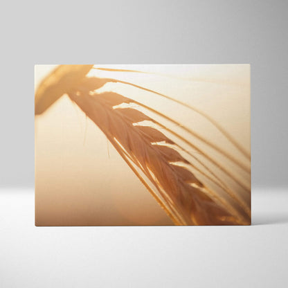 Canvas wall art featuring close-up of golden wheat stalks in soft, warm light with natural beige tones.
