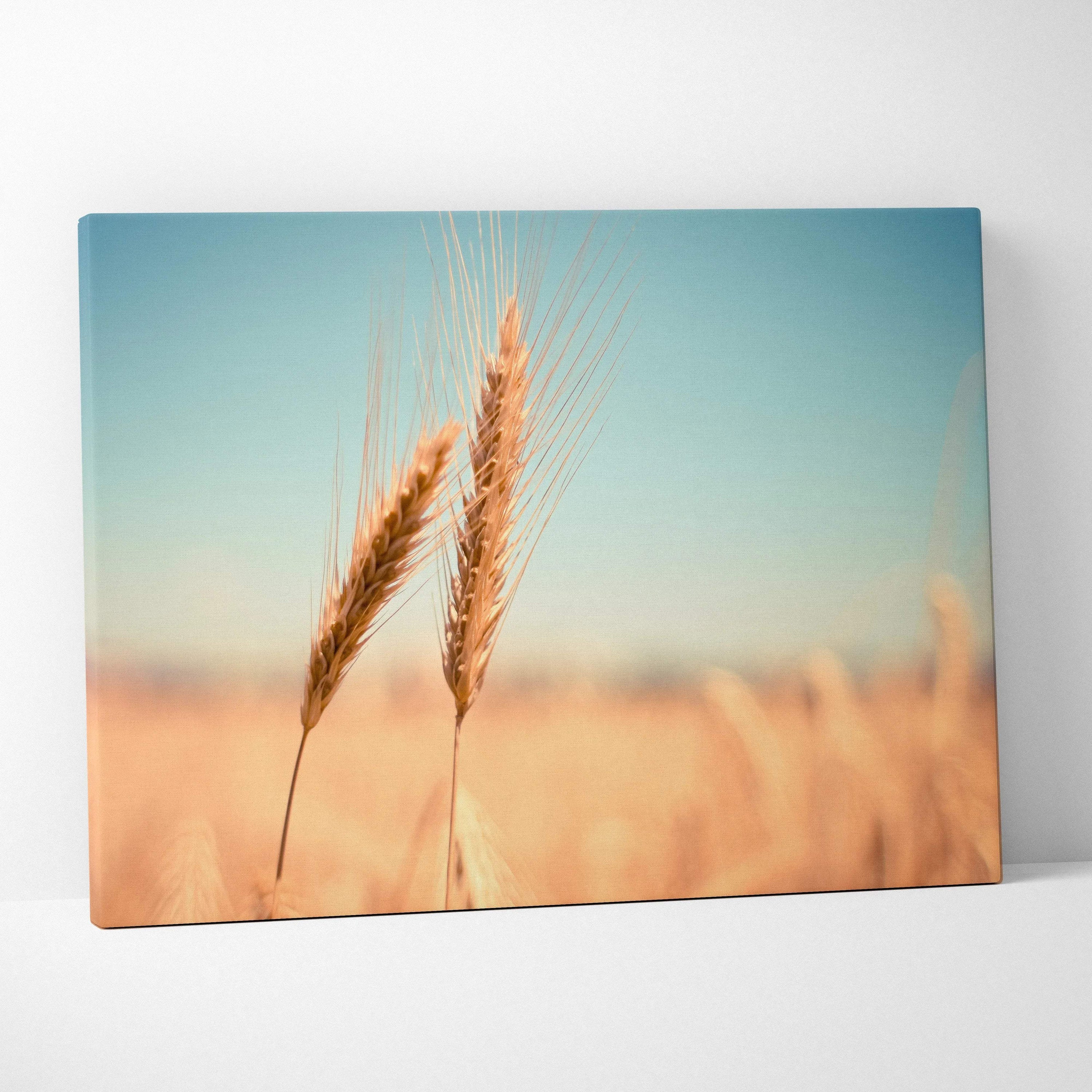 Canvas wall art featuring close-up of golden wheat stalks against a clear blue sky, perfect for home decor.