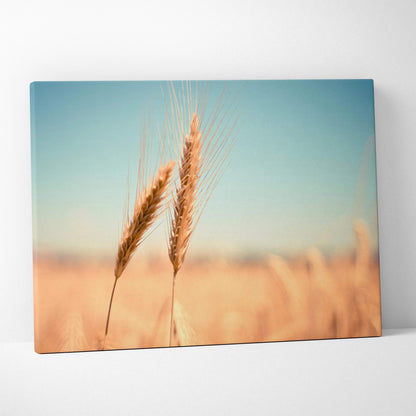 Canvas wall art featuring close-up of golden wheat stalks against a clear blue sky, perfect for home decor.