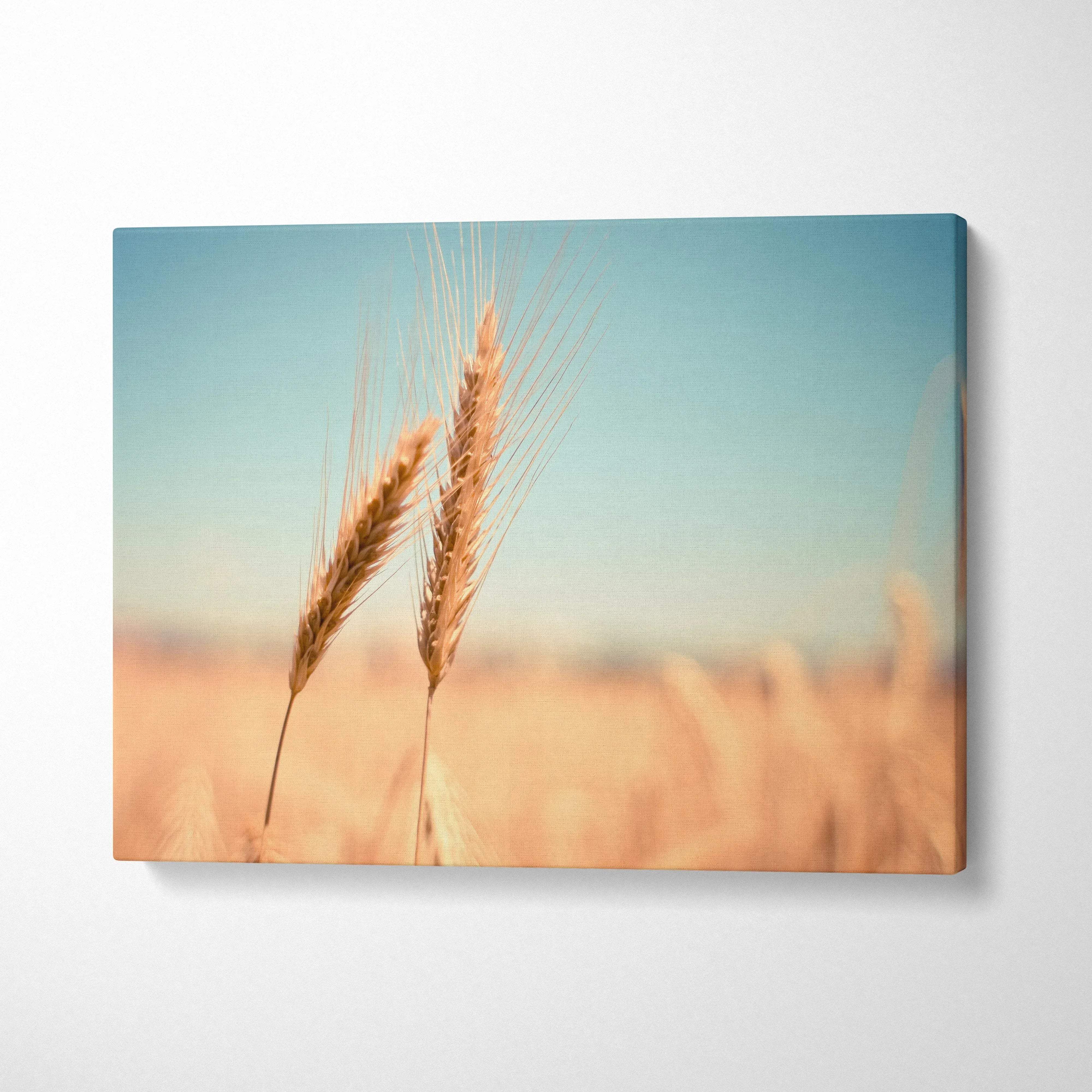 Floral wheat field canvas wall art with golden stalks against soft blue sky, home decor panel.