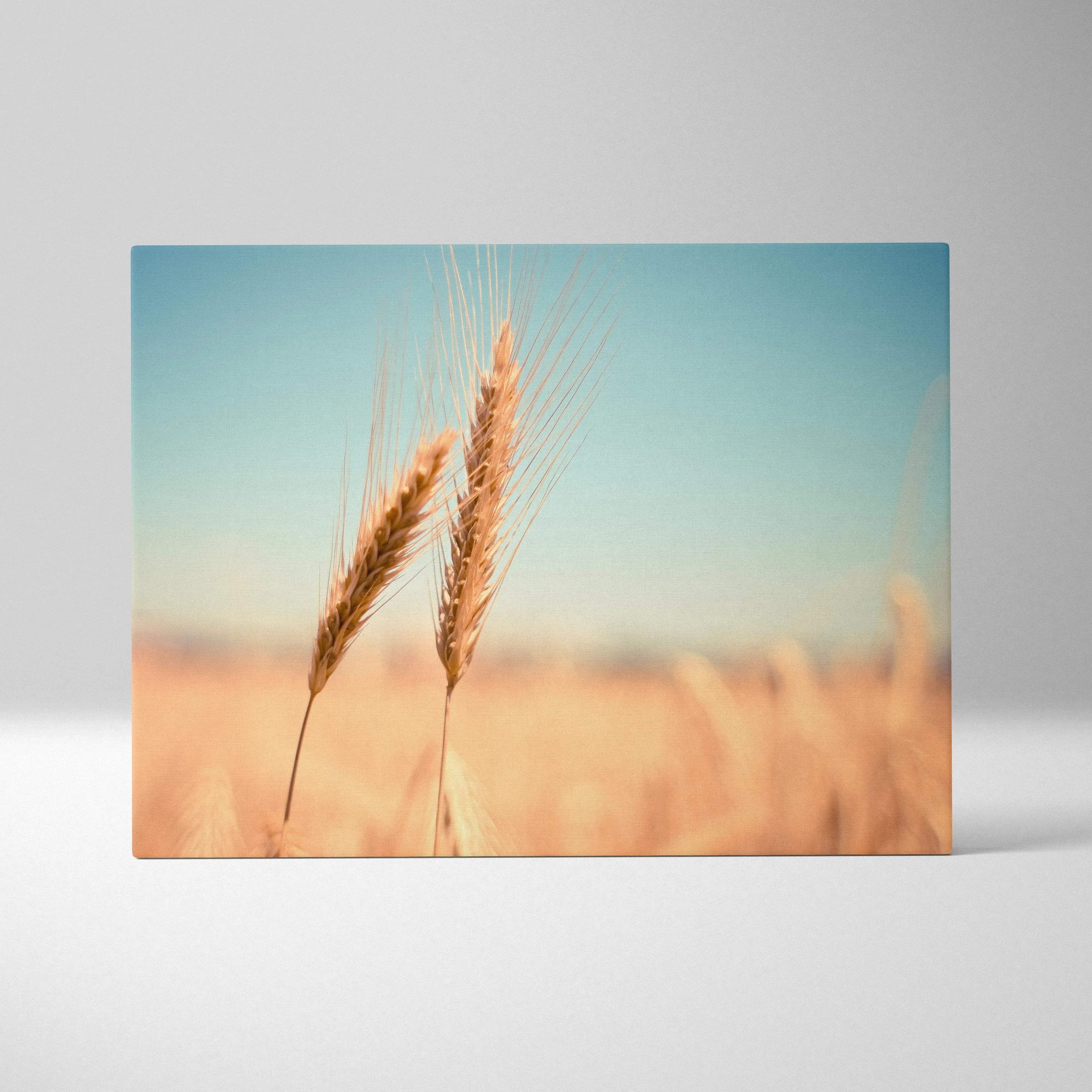 Canvas wall art featuring high-resolution close-up of golden wheat stalks with soft blue sky background for decor.