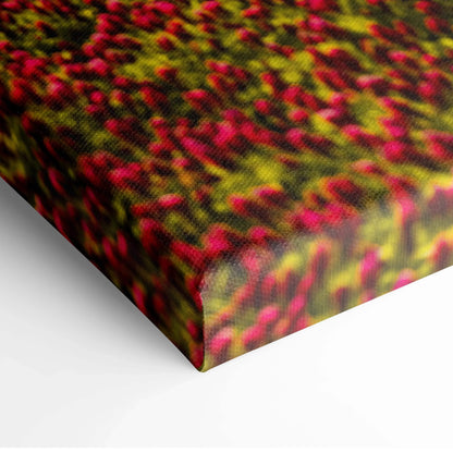 Vibrant red wildflower field canvas wall art print for modern home decor