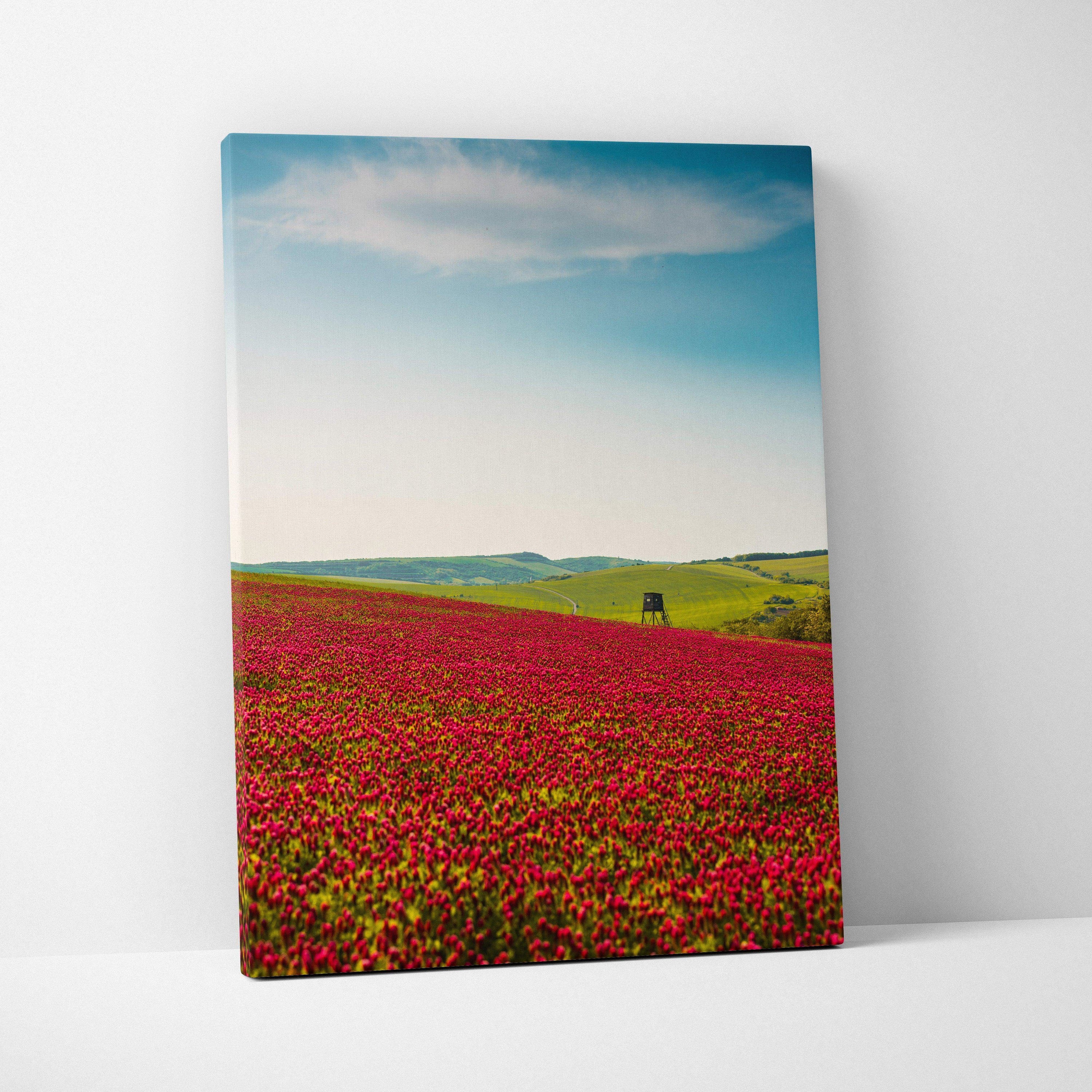 Vibrant red poppy field canvas wall art under blue sky for modern decor
