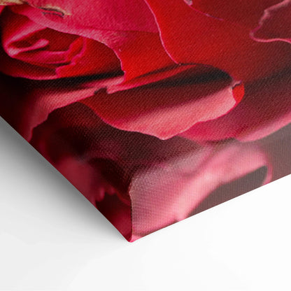 Close-up of canvas wall art featuring vibrant red rose petals with delicate texture and rich color depth.