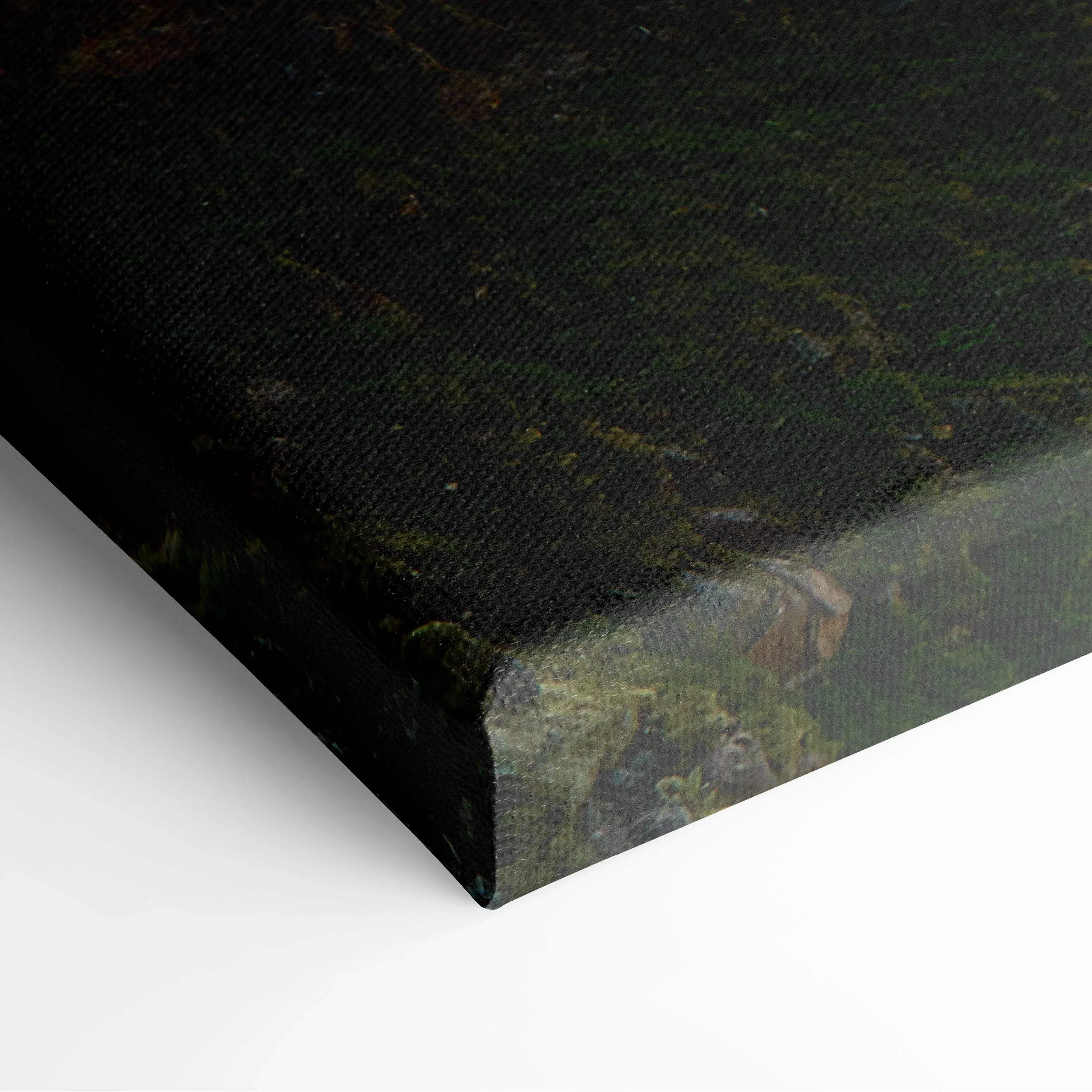 Black canvas print of Hidden Beach Norway seascape with mossy texture