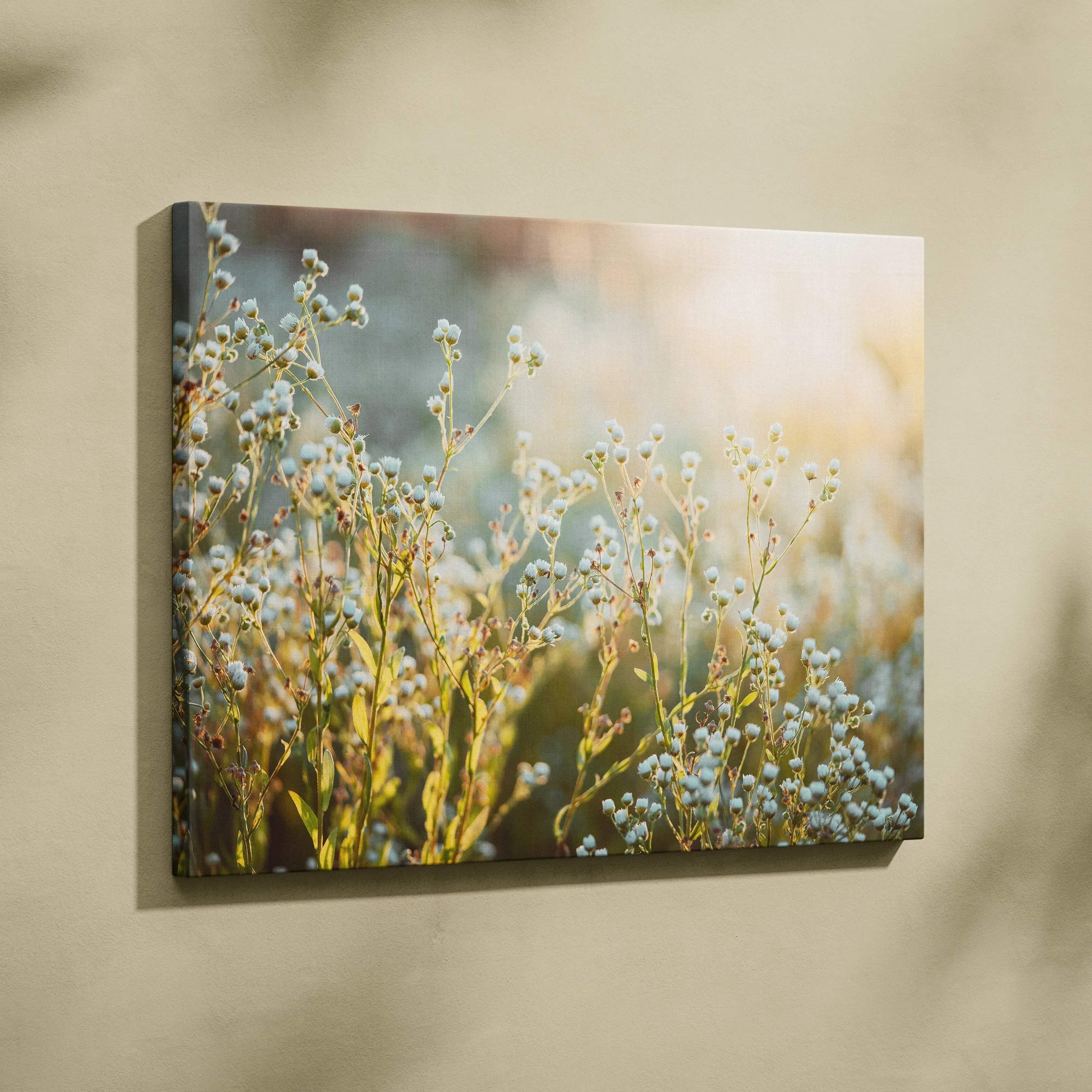 Canvas wall art featuring soft-focused white wildflowers with green stems against a warm, blurred background.