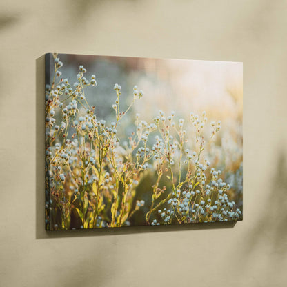 Canvas wall art featuring soft-focused white wildflowers with green stems against a warm, blurred background.