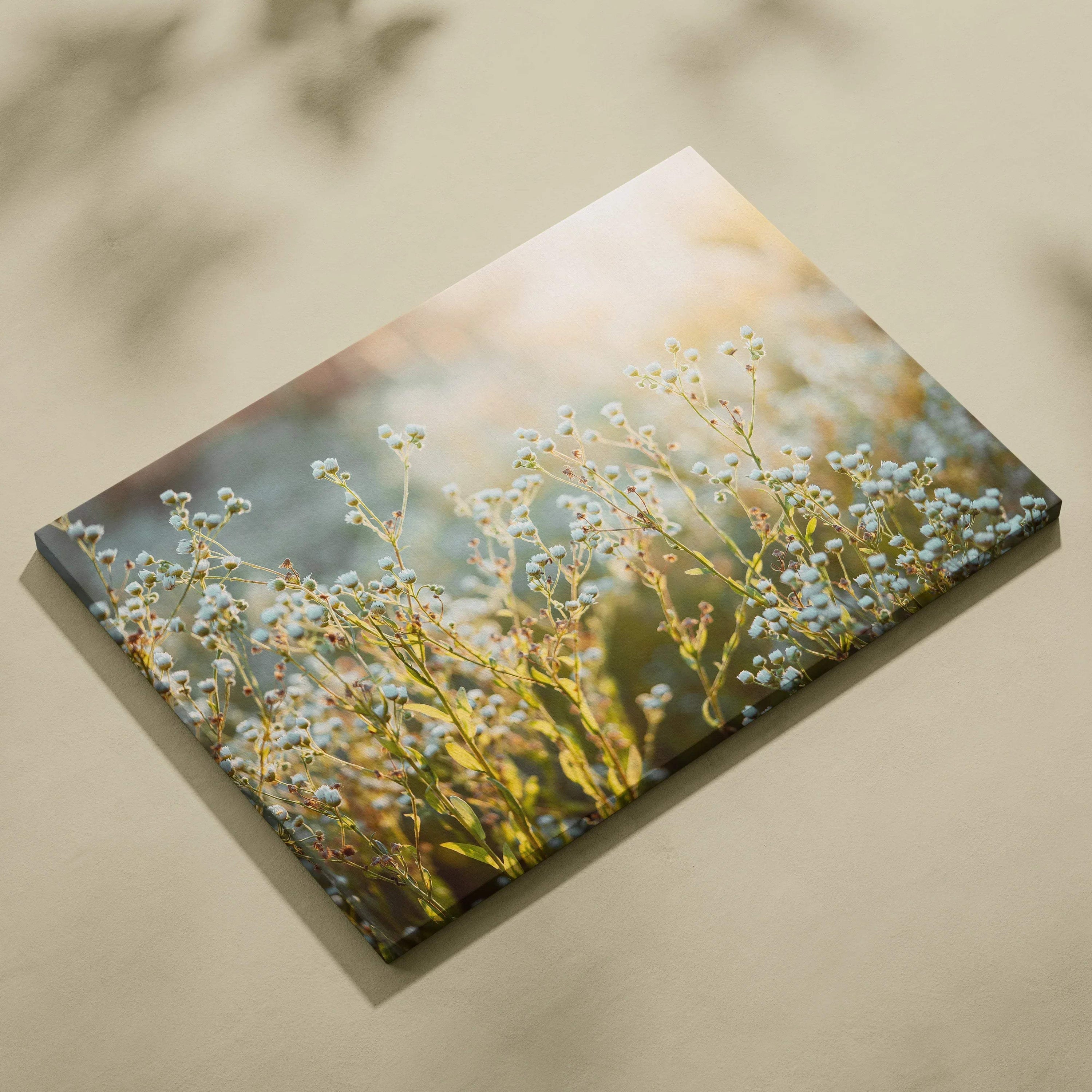 Canvas wall art featuring delicate white wildflowers with soft sunlight and a blurred natural background, perfect for home.