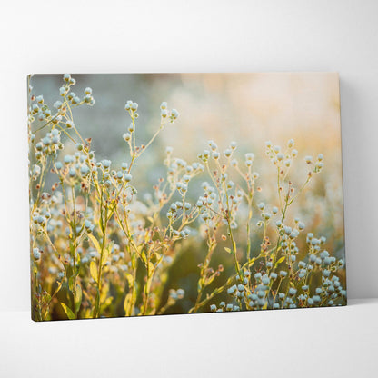 Canvas wall art featuring delicate white wildflowers with green stems against a soft golden blurred background.