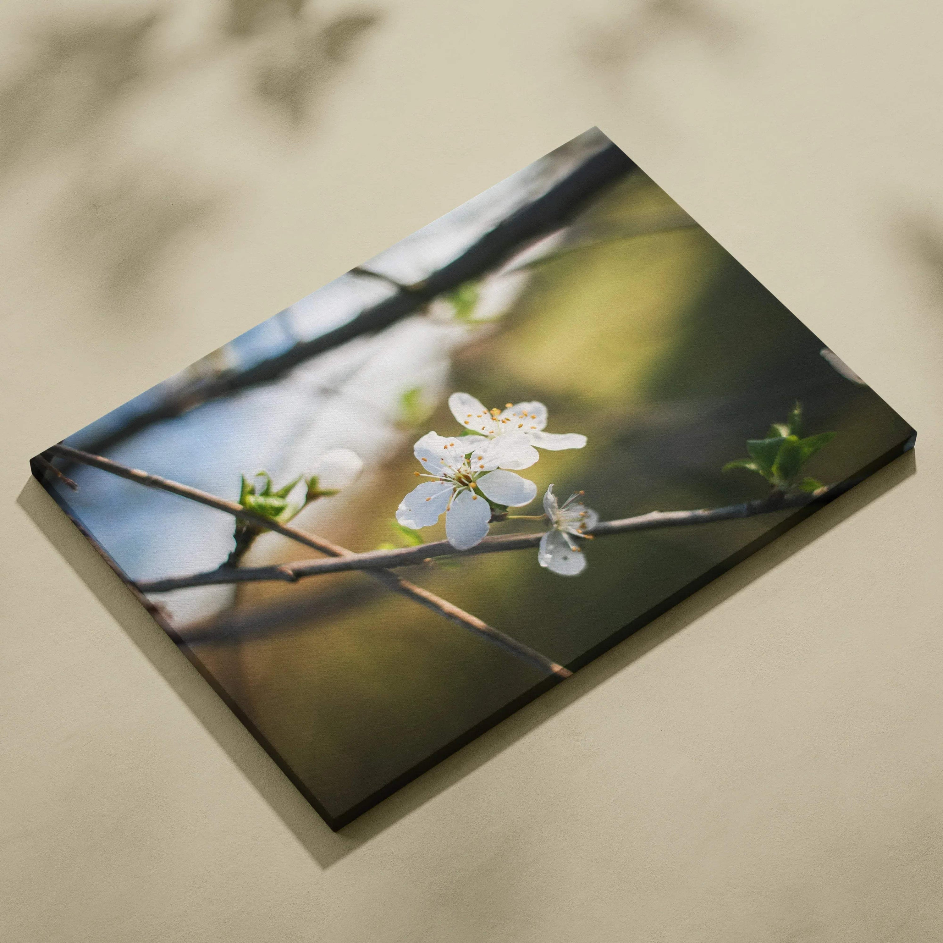 Canvas wall art featuring close-up white cherry blossom flowers on branches with soft green and brown blurred background.