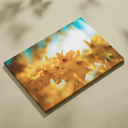 Canvas wall art featuring bright yellow cherry blossoms against a soft blue sky background for home decor.