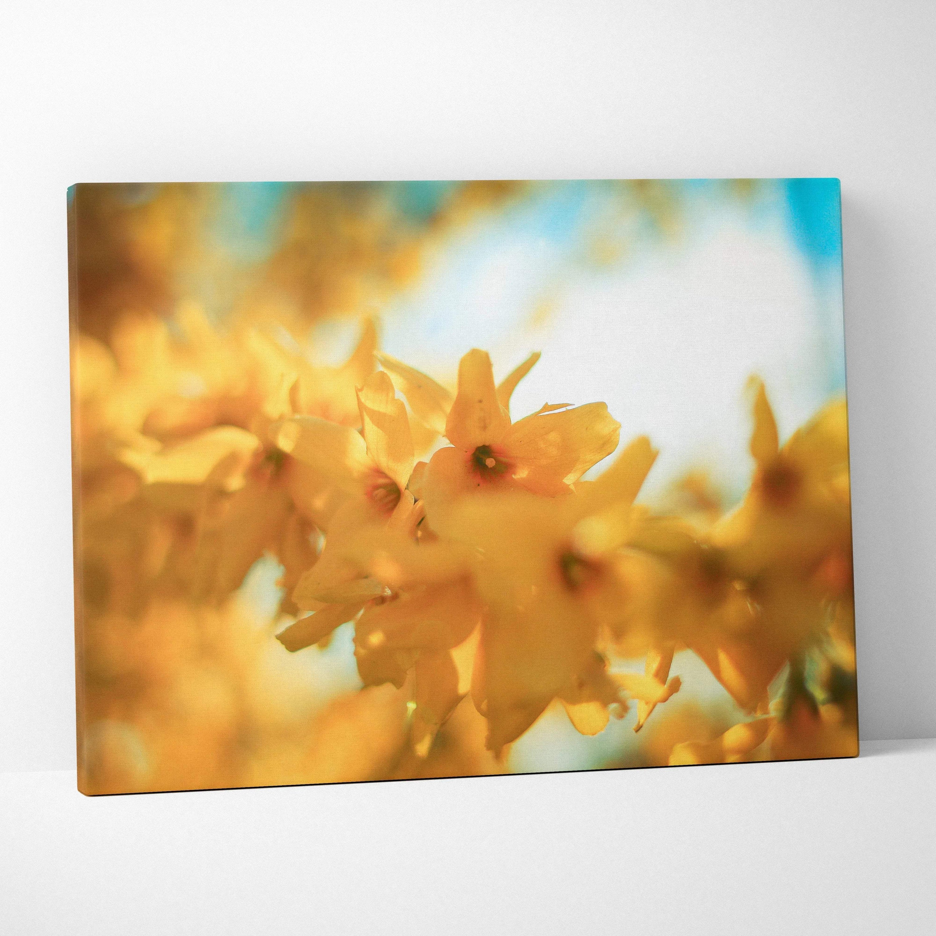 Canvas wall art featuring vibrant yellow cherry blossom flowers with a soft-focus background in warm tones and blue sky.