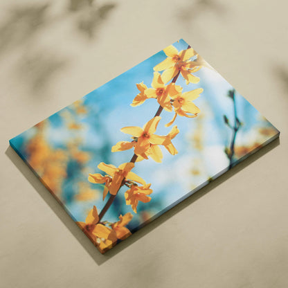 Premium canvas wall art featuring vibrant yellow cherry blossom branches against a bright blue sky background.