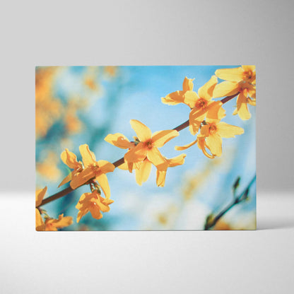 Cherry blossom branch with yellow flowers on sky blue background canvas wall art decor.