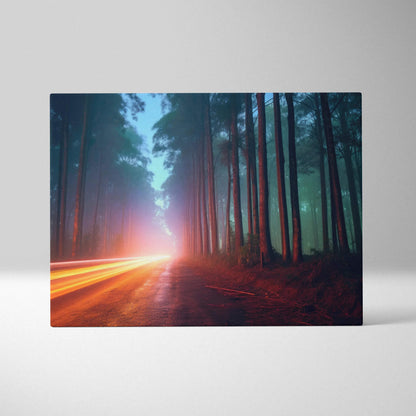 Dark forest canvas wall art with blurred passing car lights at night, atmospheric decor.
