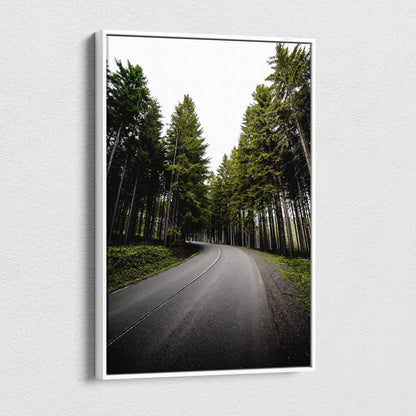Canvas wall art featuring a winding road through tall green forest trees, perfect for home decor.