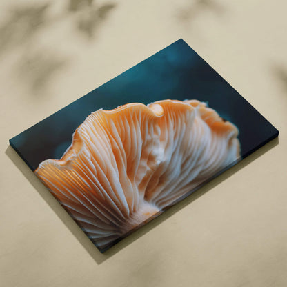 Canvas wall art featuring close-up of orange and cream mushroom gills on dark blue background.