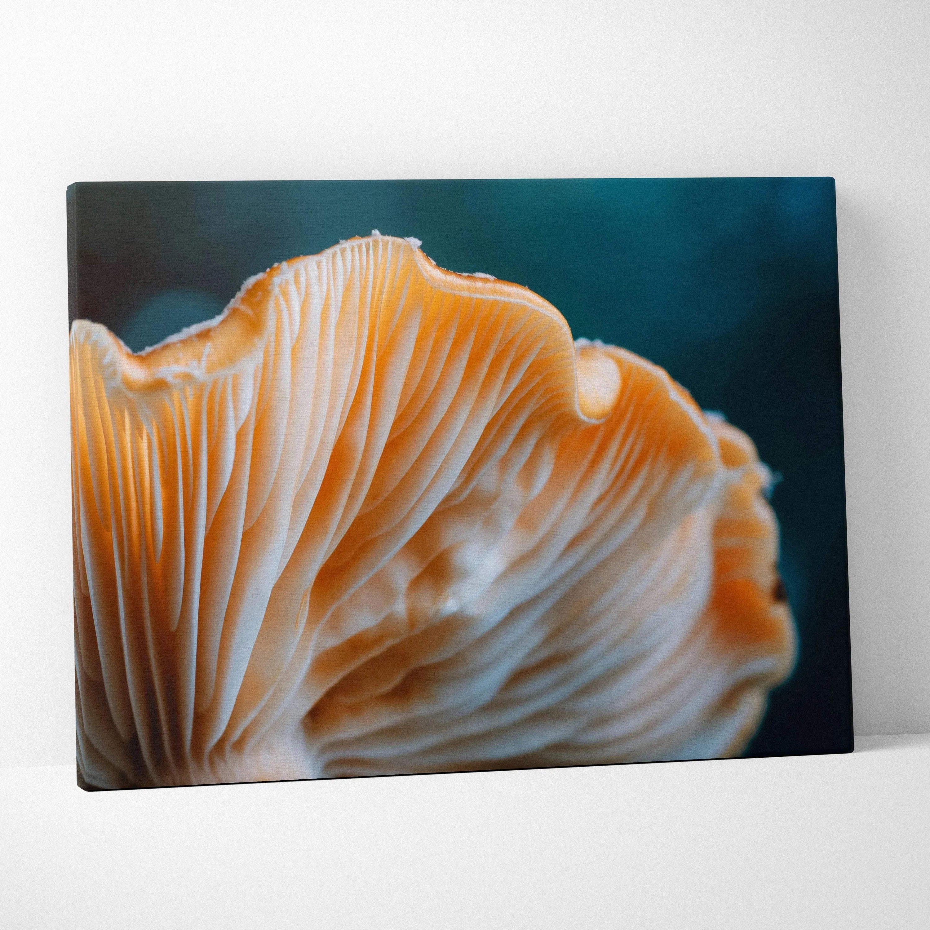 Canvas wall art featuring a close-up of orange mushroom gills against a dark teal background.