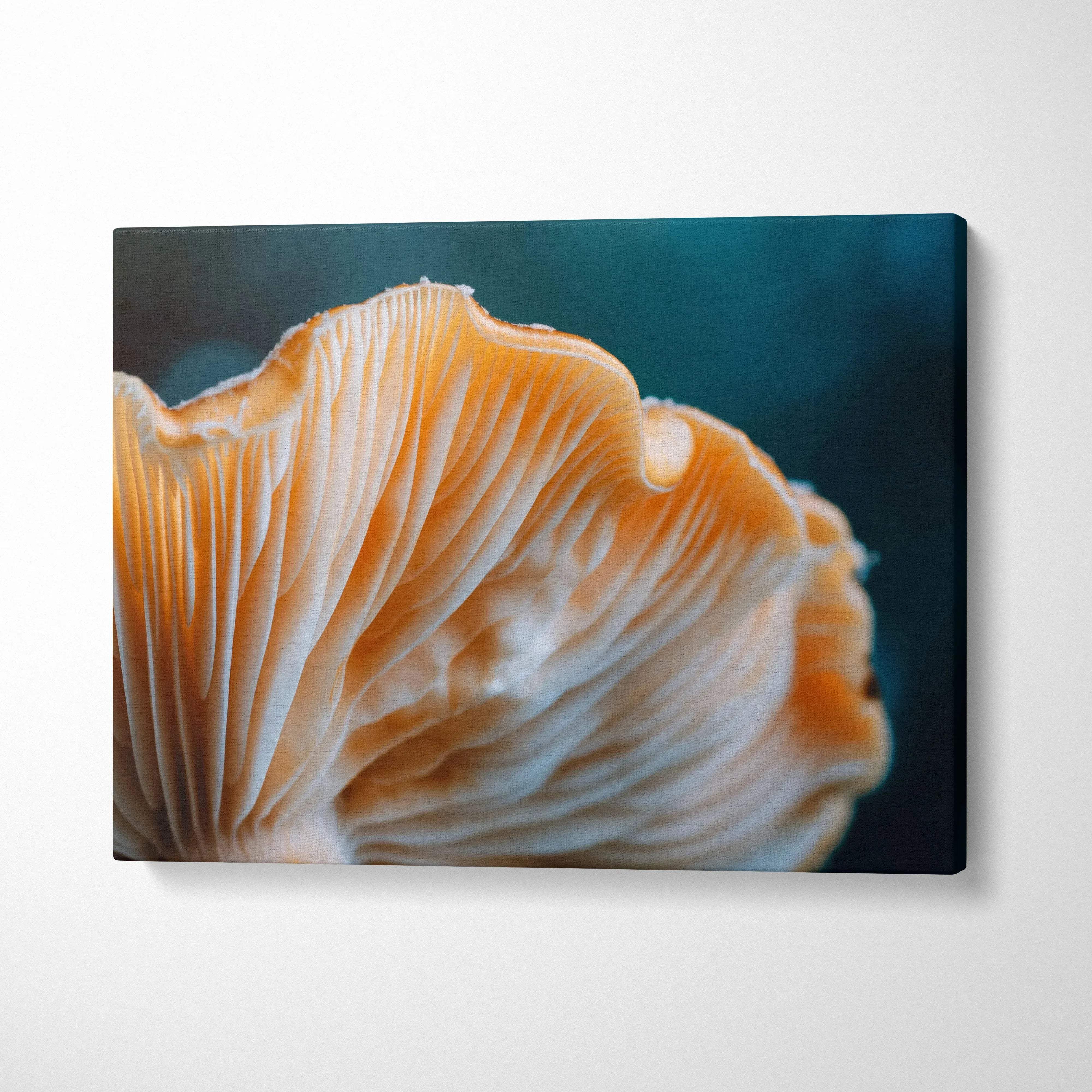 Canvas wall art featuring close-up of vibrant orange mushroom gills against dark blue background for home decor.