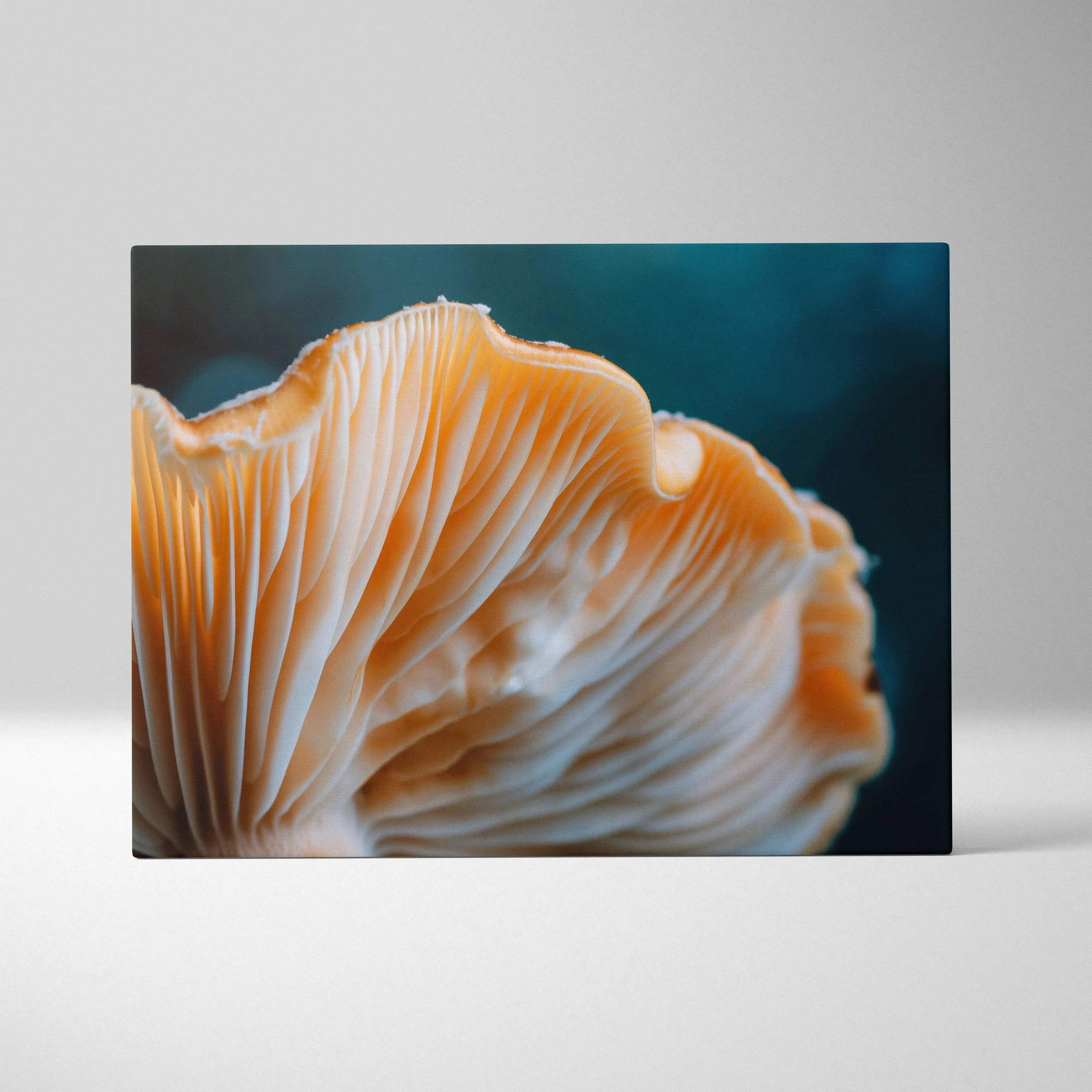 Orange and cream mushroom gills close-up on canvas wall art with deep teal background.