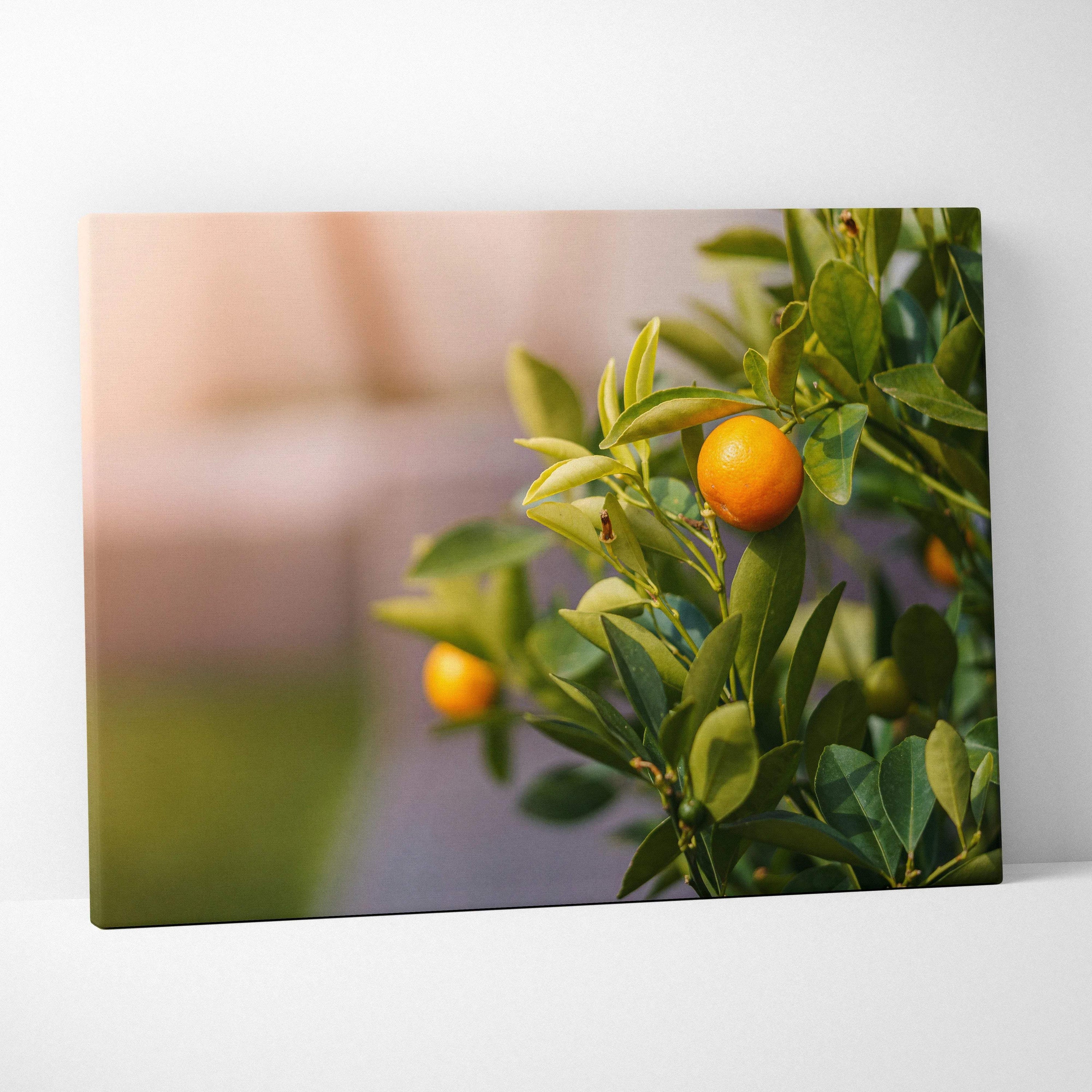 Canvas wall art featuring a vibrant mandarin tree branch with ripe orange fruit and lush green leaves against a blurred.