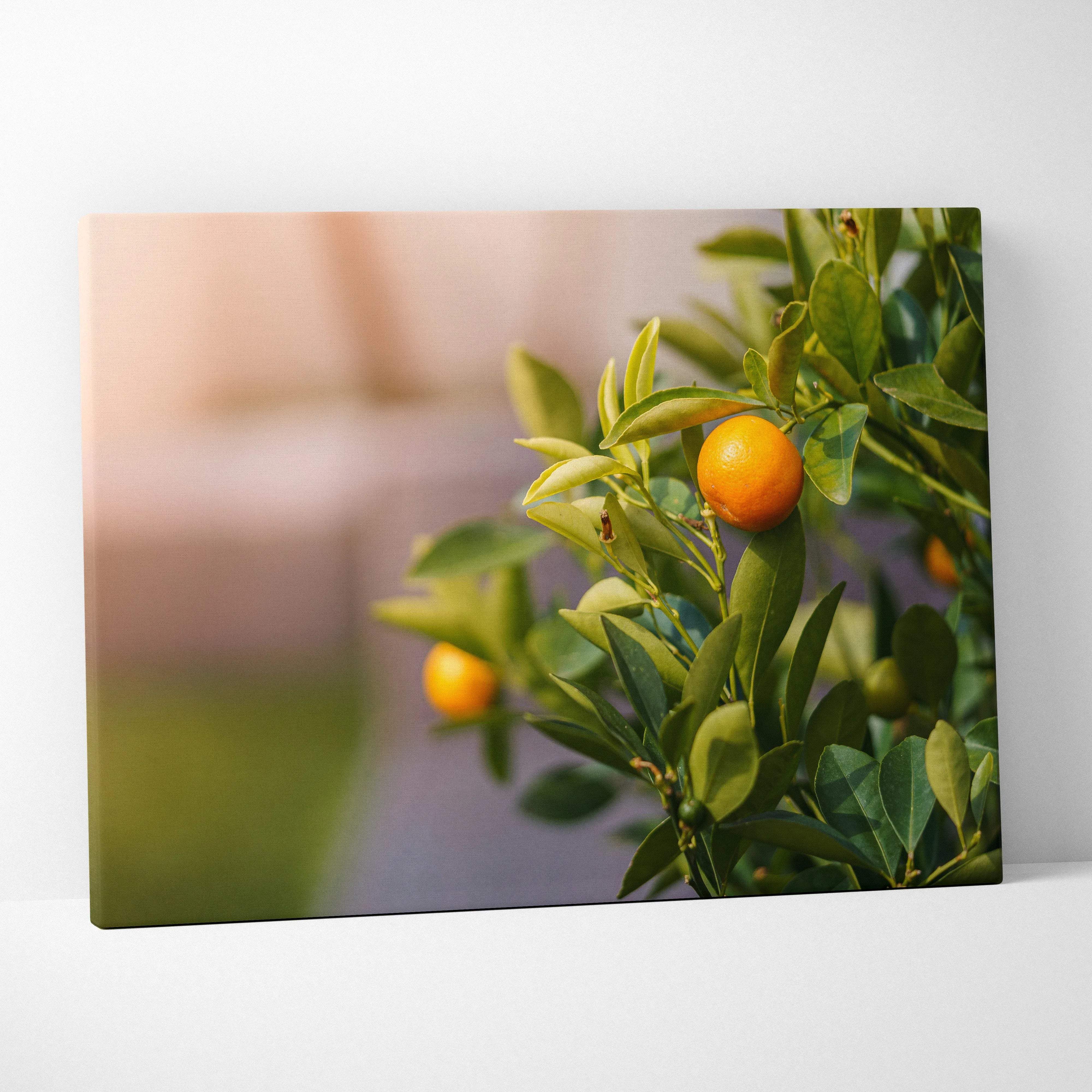 A vibrant mandarin tree canvas wall art featuring ripe orange fruit on lush green branches in warm citrus tones