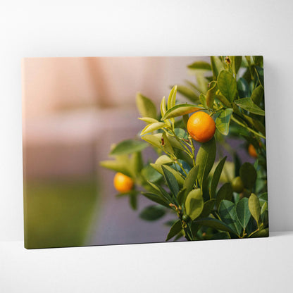 Canvas wall art featuring a vibrant mandarin tree branch with ripe orange fruit and lush green leaves against a blurred.