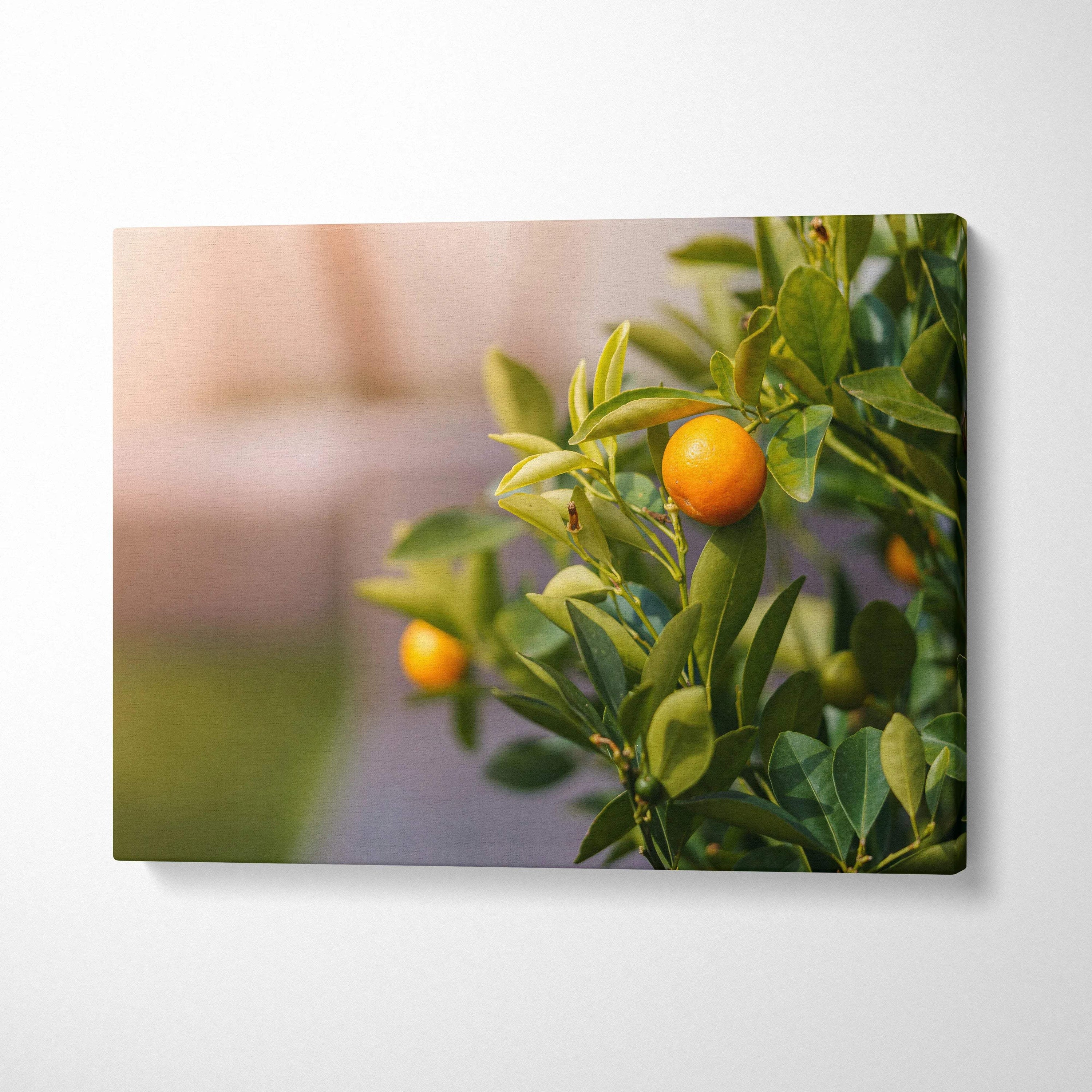 Canvas wall art featuring a close-up of a mandarin tree branch with ripe orange fruits and green leaves.