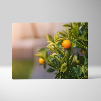 Canvas wall art featuring a close-up of ripe mandarin oranges on green leafy branches for vibrant decor.