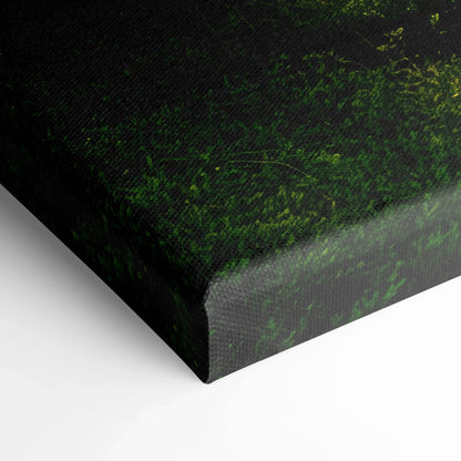 Close-up of forest landscape canvas wall art corner with sun rays filtering through ancient trees decor.
